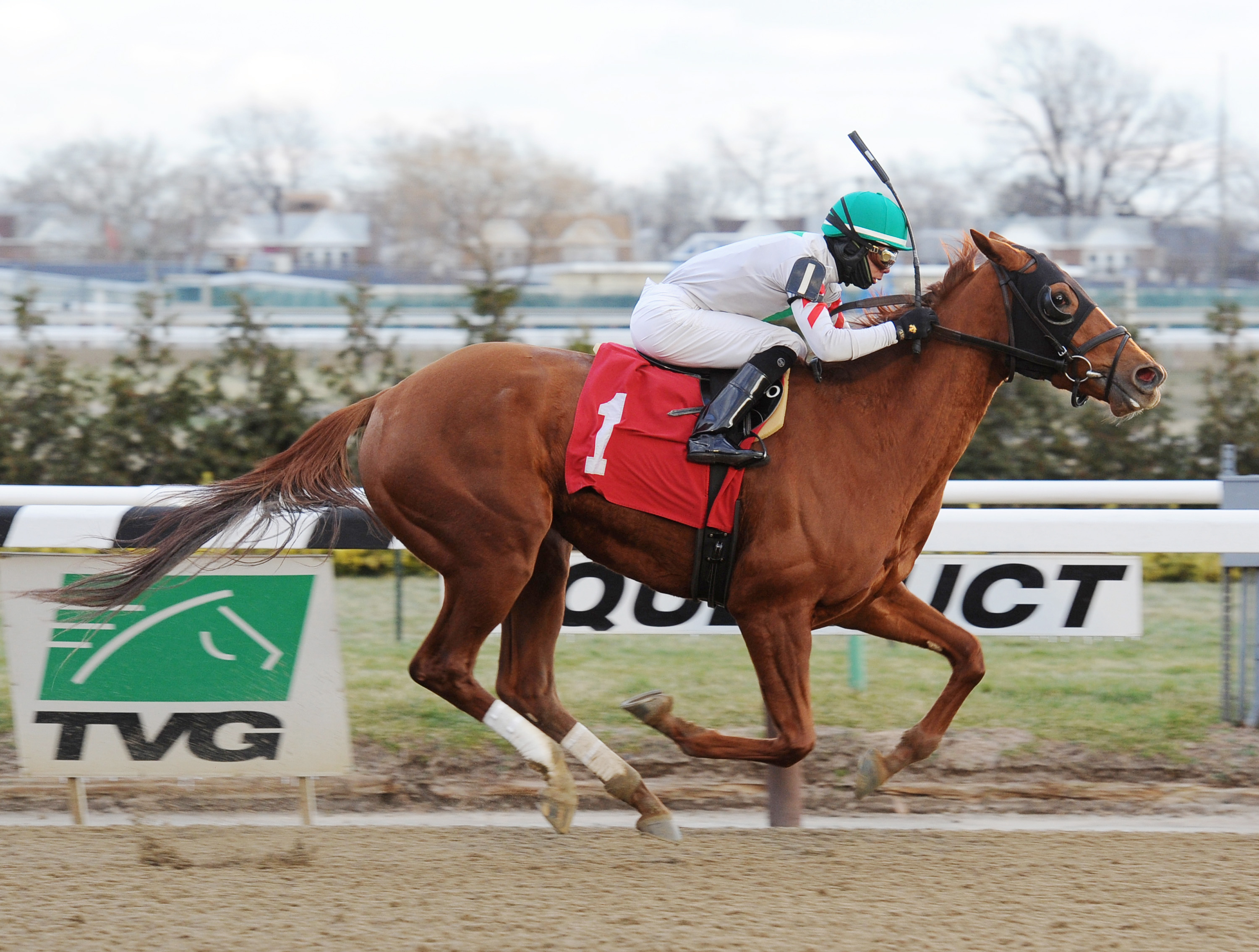 Sheriffa wins an allowance race