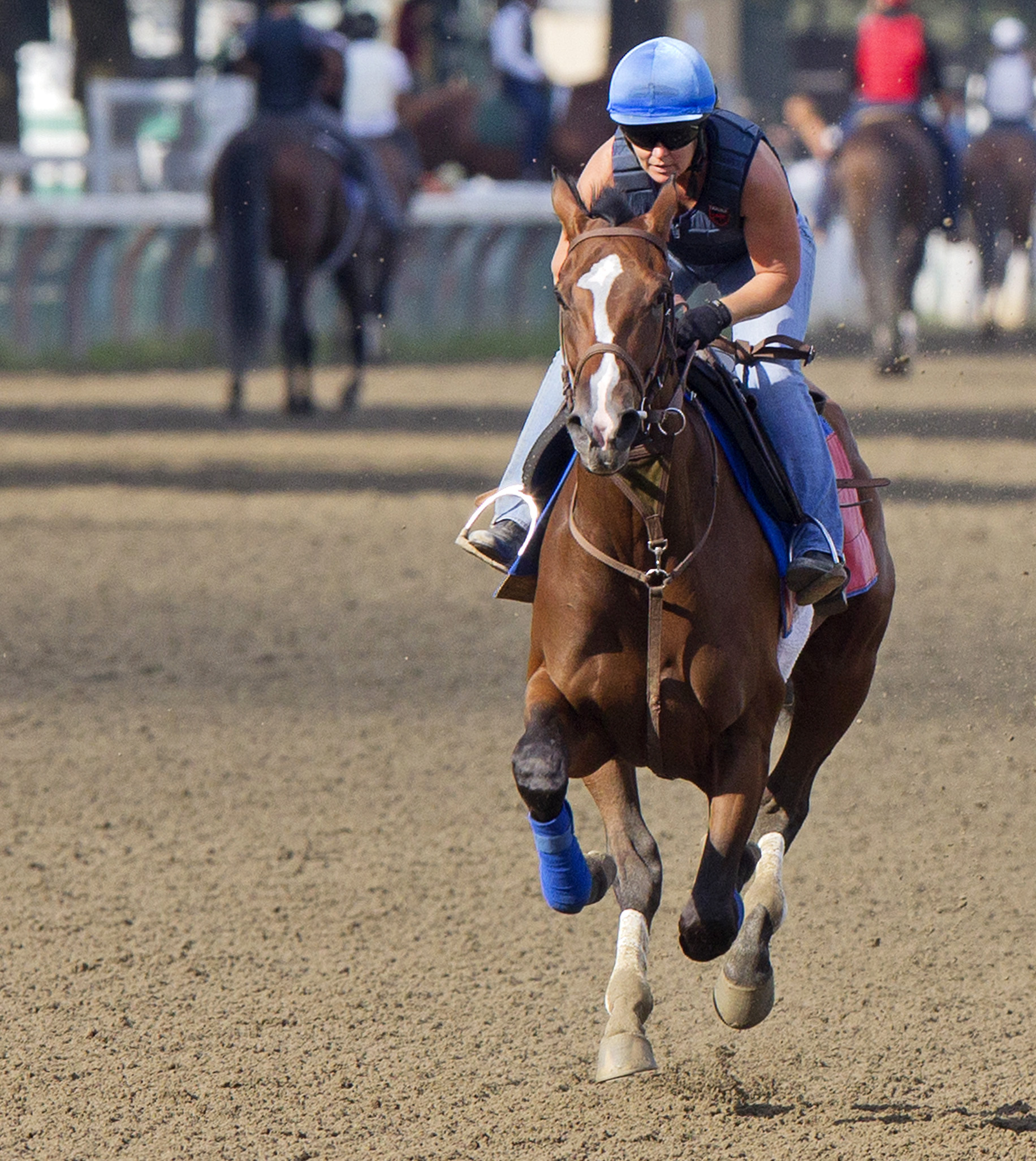 Sherini trains at Saratoga on Aug. 24