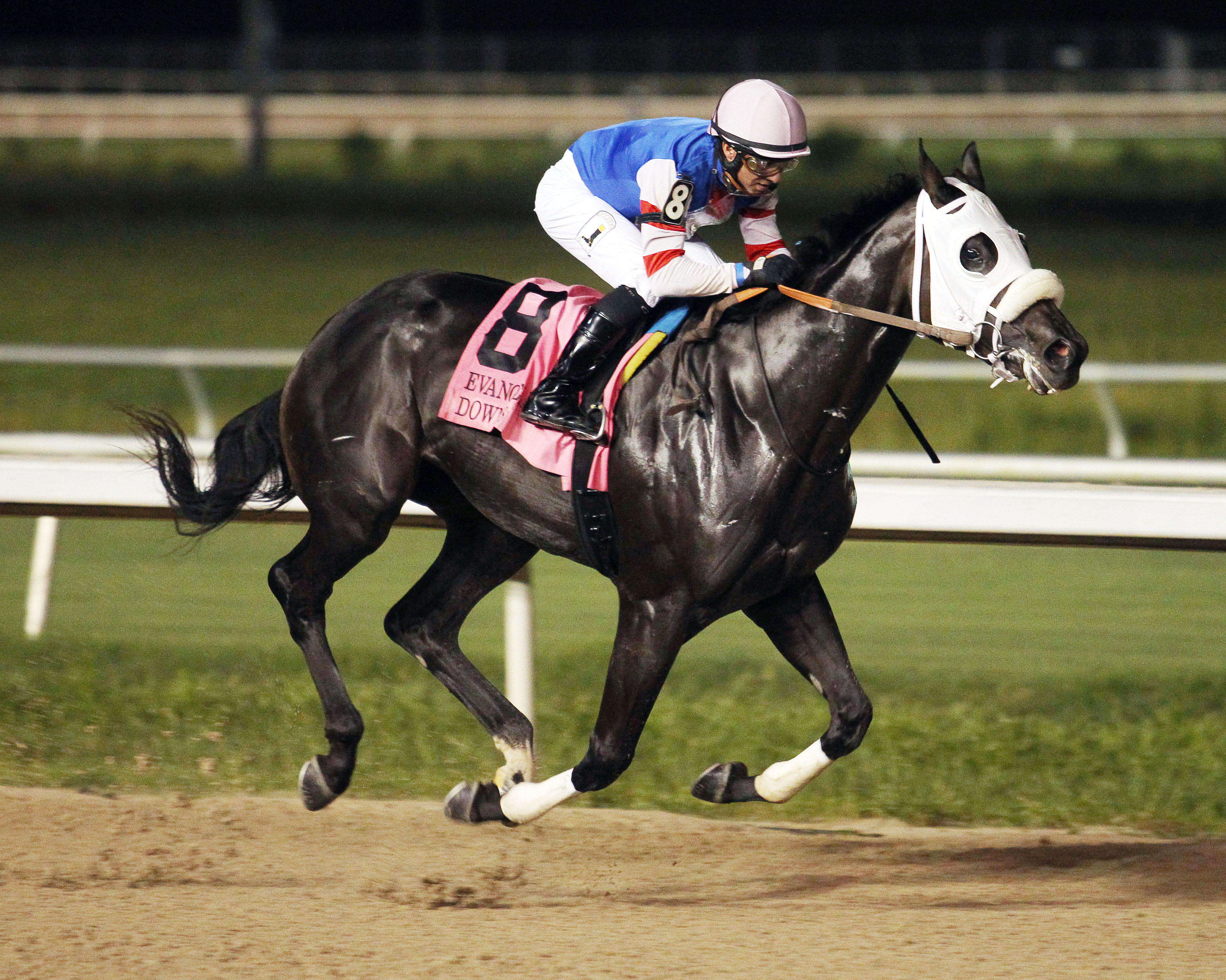 Shes Our Fastest wins the 2017 Evangeline Downs Princess Stakes