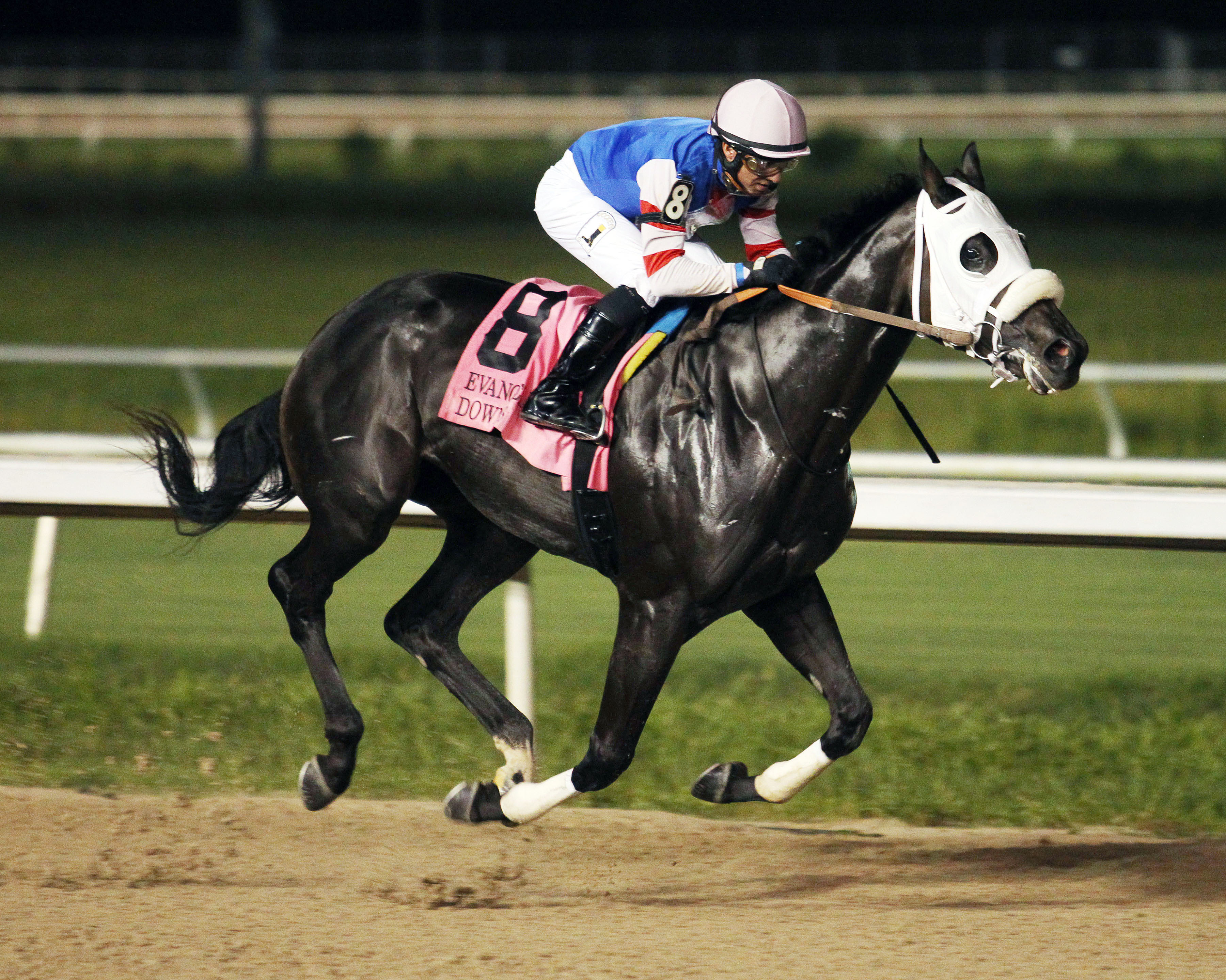 Shes Our Fastest wins the 2017 Evangeline Downs Princess Stakes