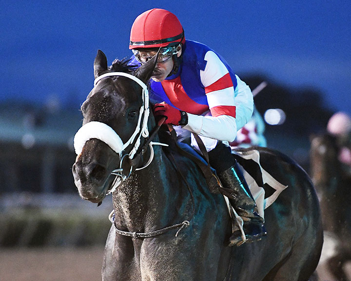 Shes Our Fastest wins the 2019 Yellow Rose Stakes at Sam Houston