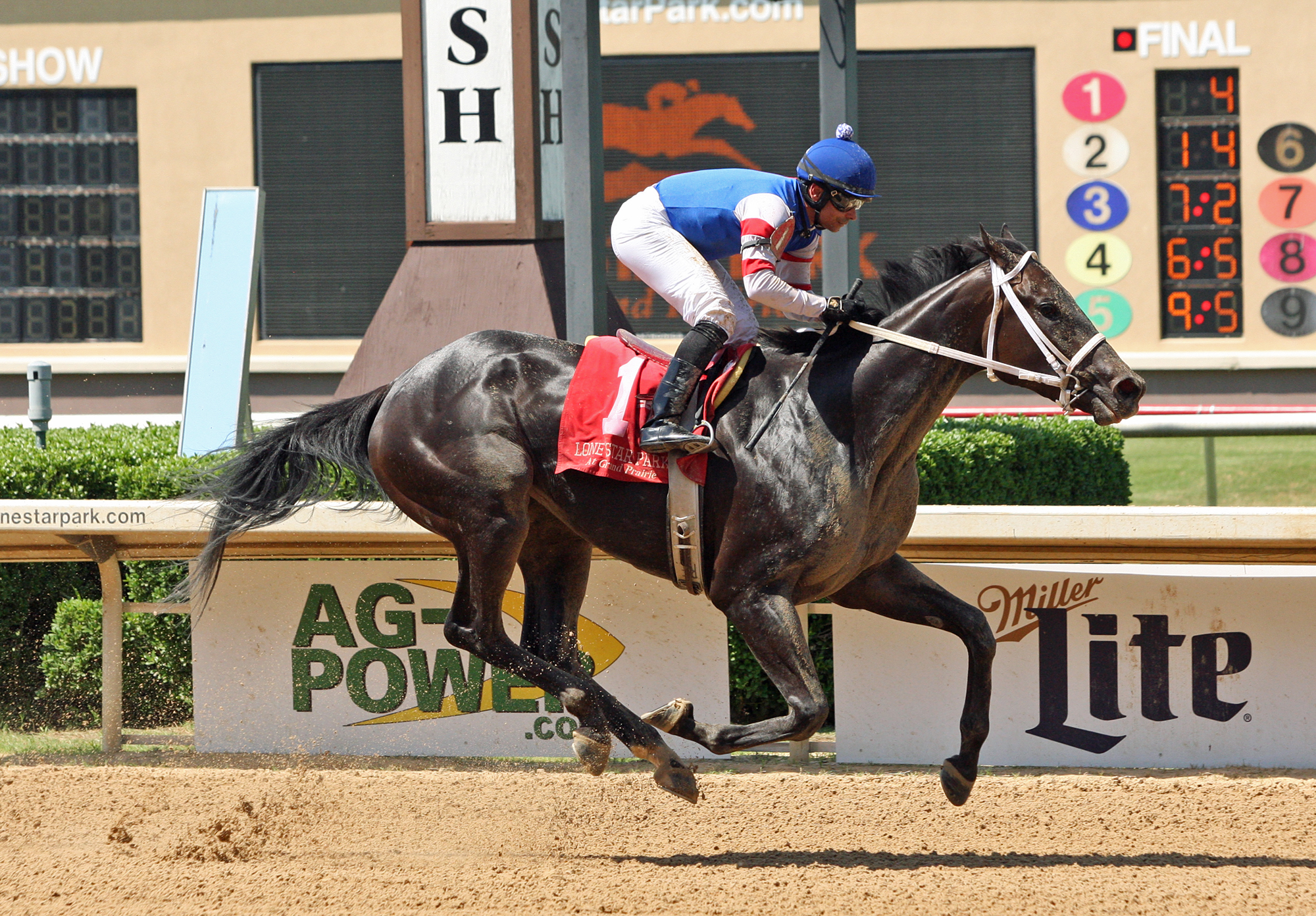 Shes Our Fastest wins the 2018 Got Koko