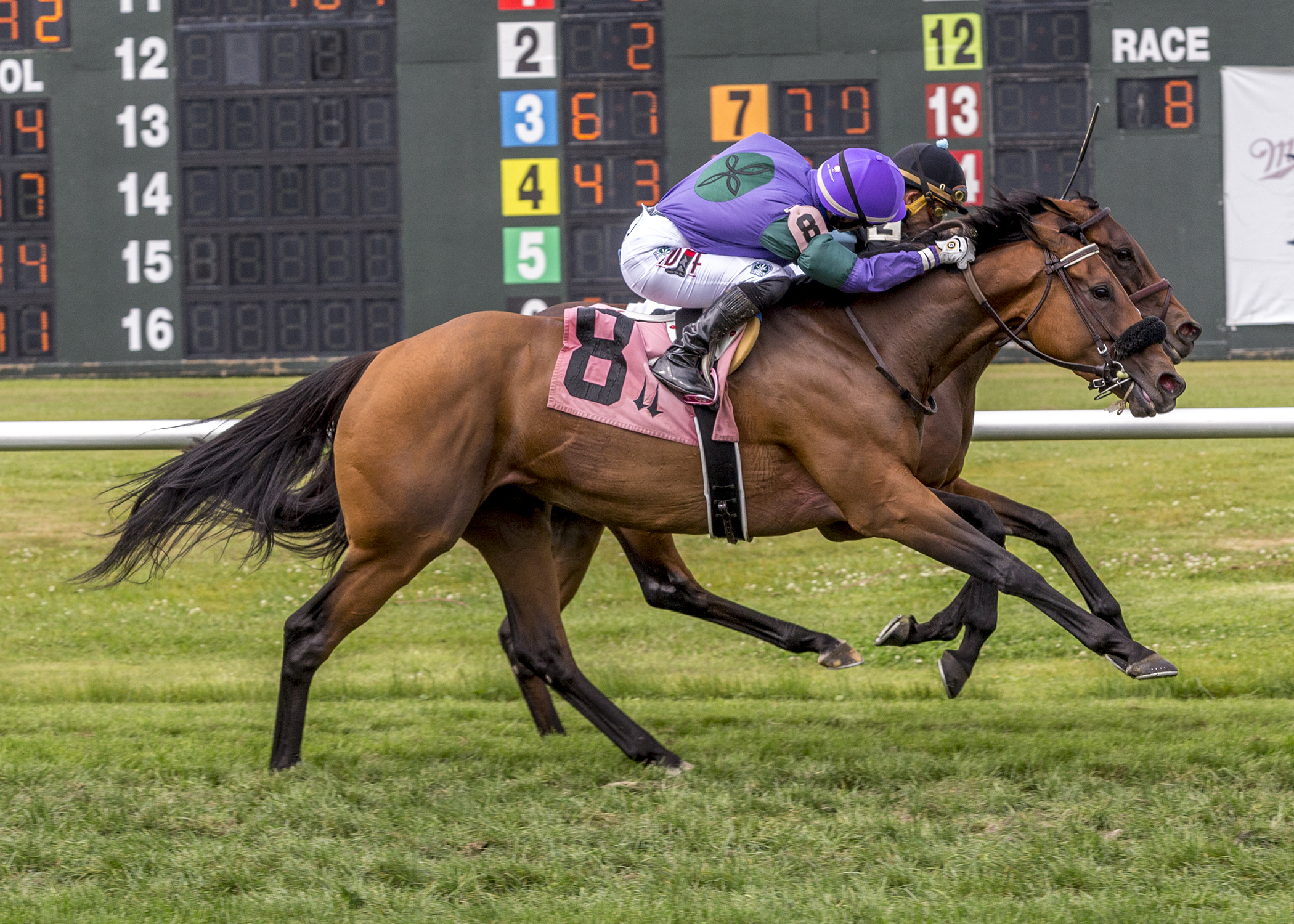 Shesonthewarpath (No. 8) wins the 2020 Tom Benson Memorial