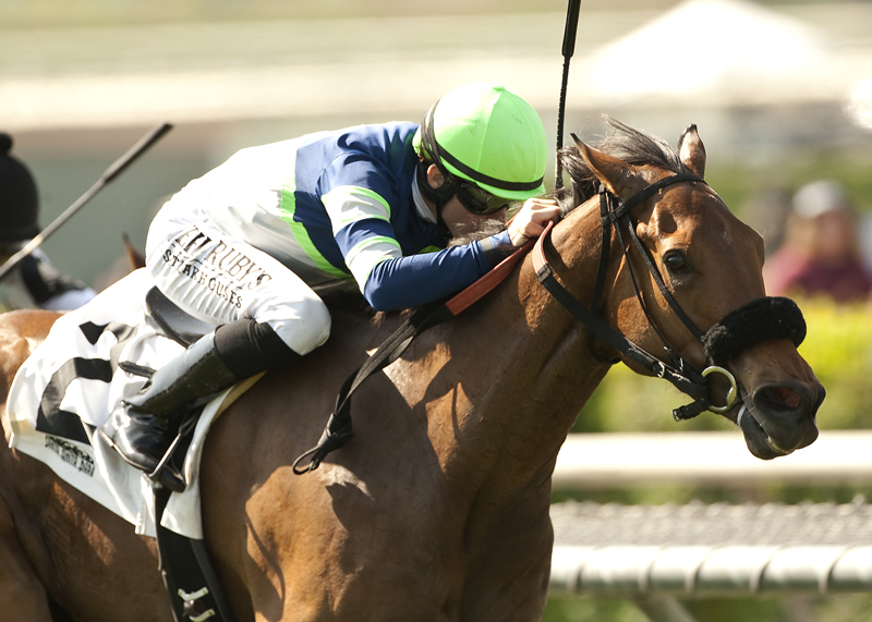 Sheza Smoke Show wins 2014 Senorita