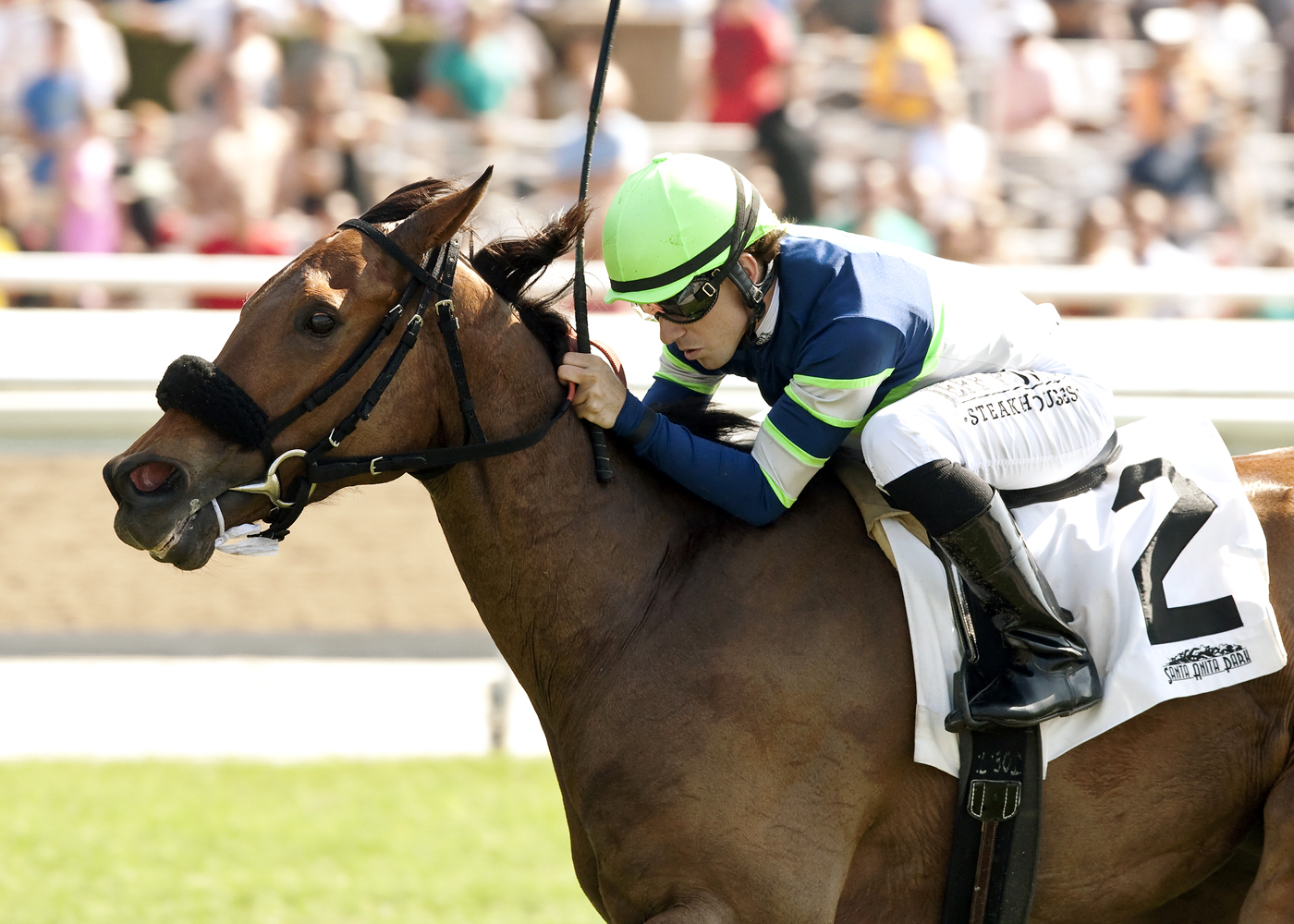 Sheza Smoke Show wins the Senorita