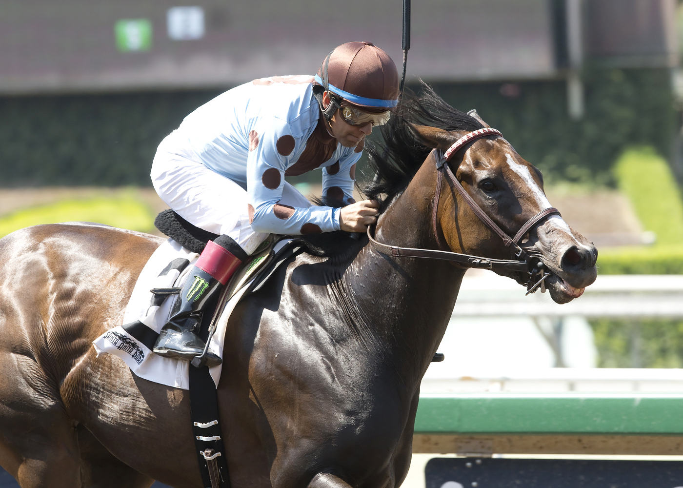 Shh She's Ours wins the Desert Stormer II