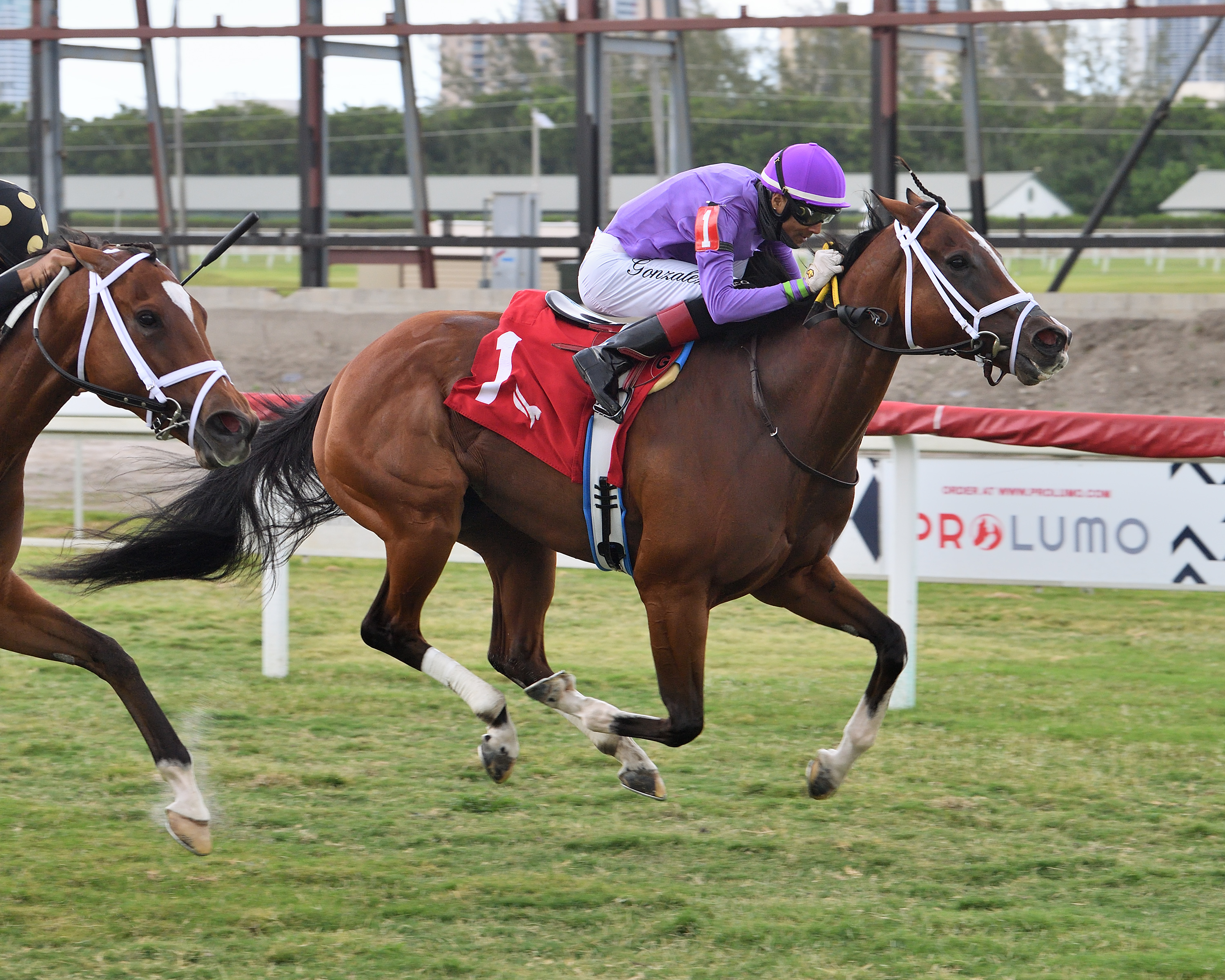 Shifty She wins the Ginger Punch 6-12-2021