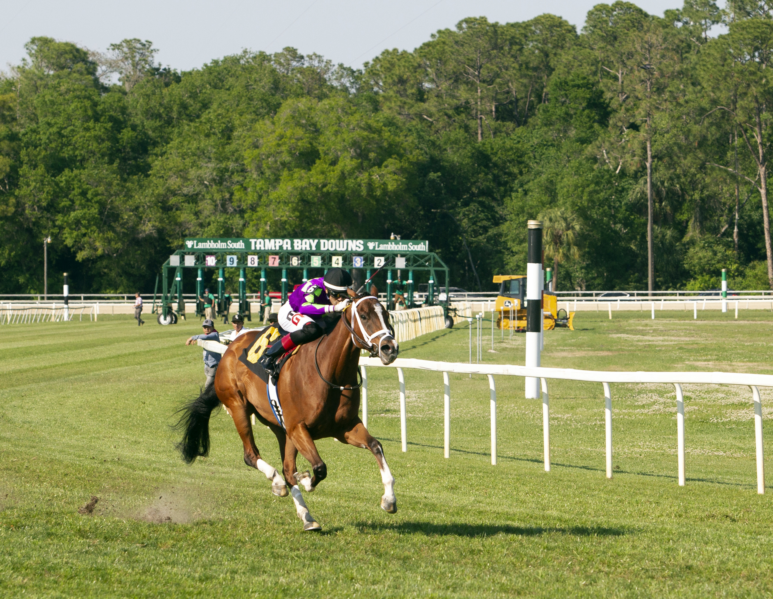 Tampa Bay Downs