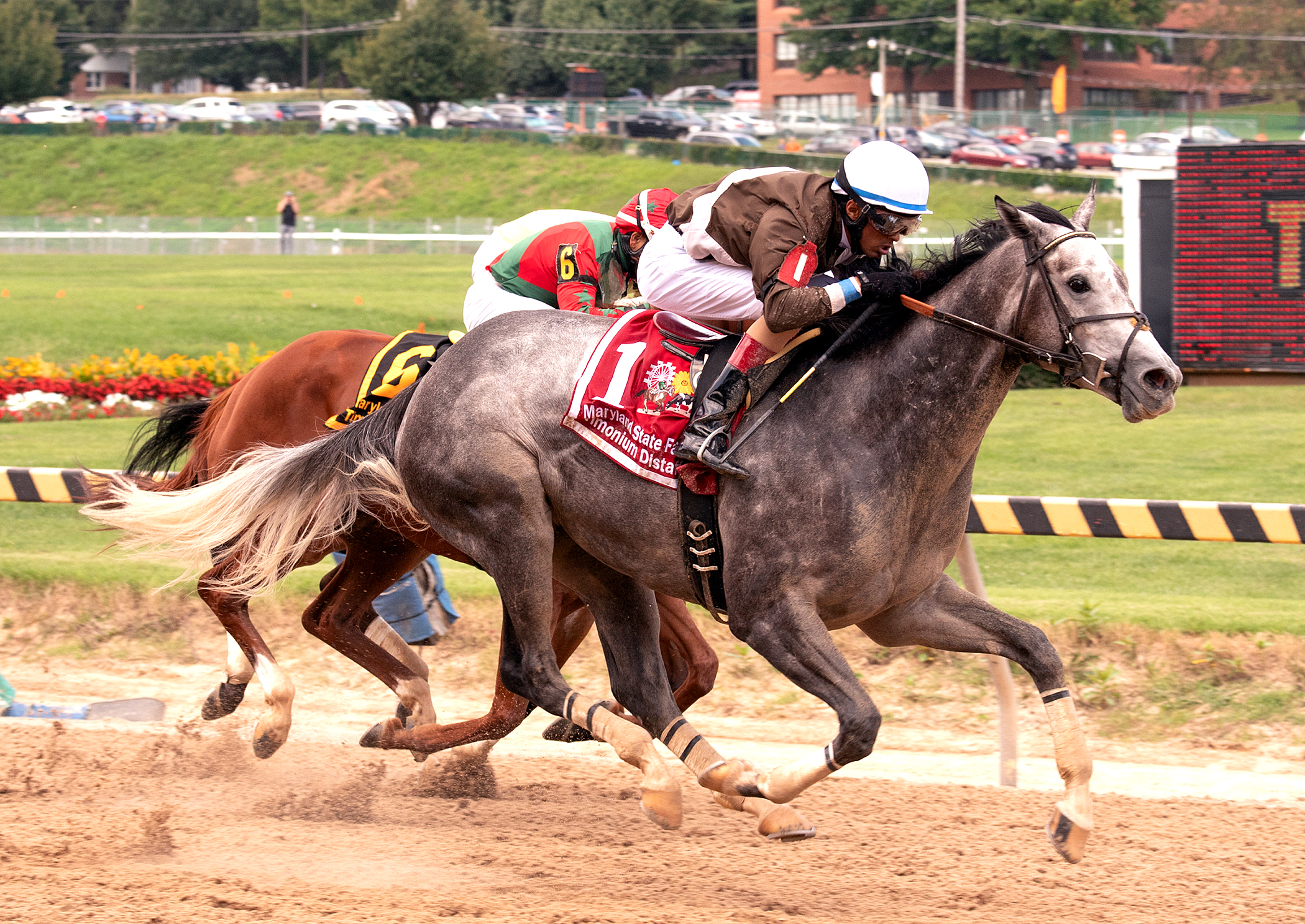 Shimmering Aspen wins the 2018 Timonium Distaff
