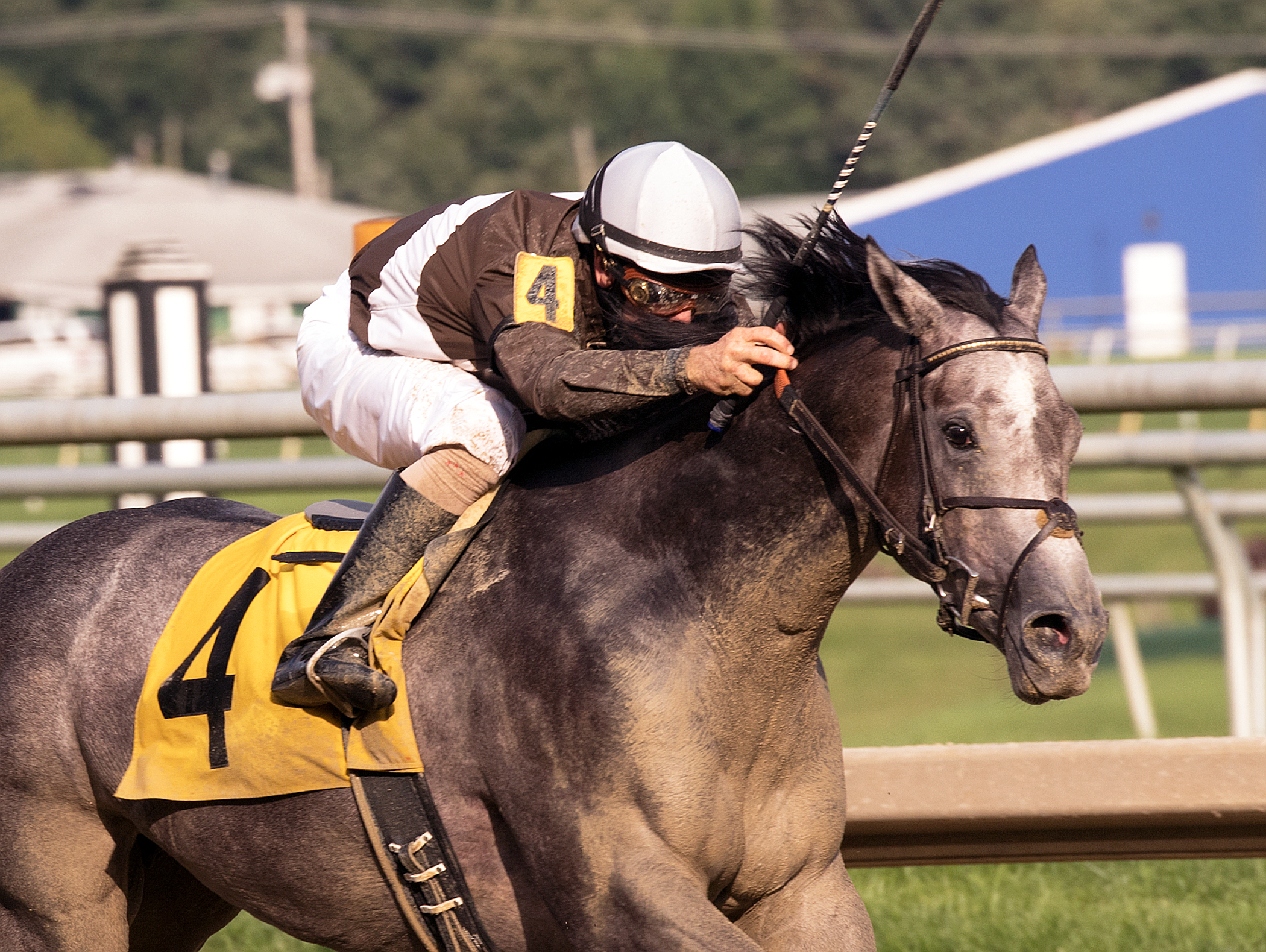 Shimmering Aspen wins the Twixt Stakes at Laurel Park 8.12.17