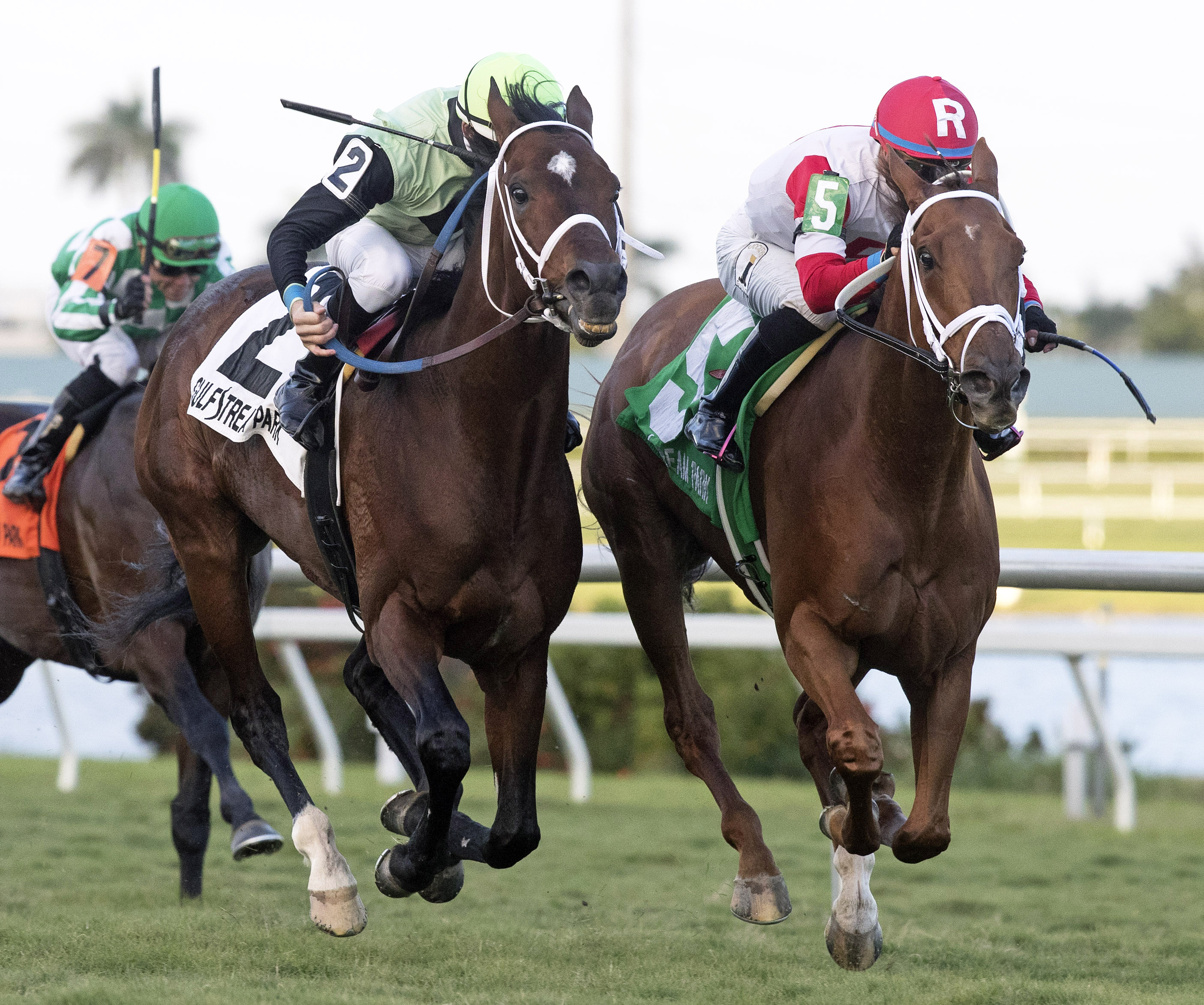 One Go All Go finishes second in the 2018 Fort Lauderdale Stakes