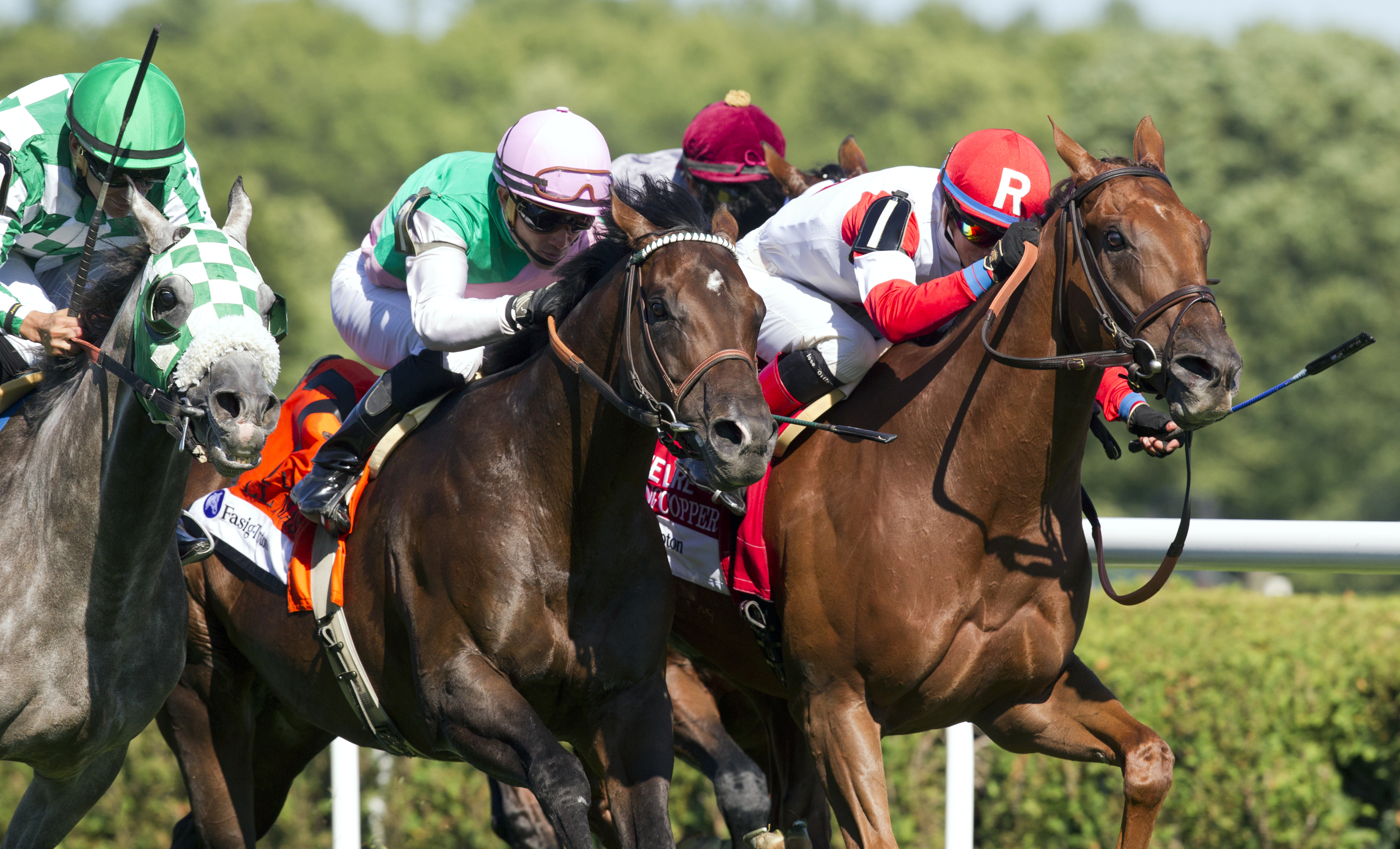 Shining Copper wins the Lure Stakes