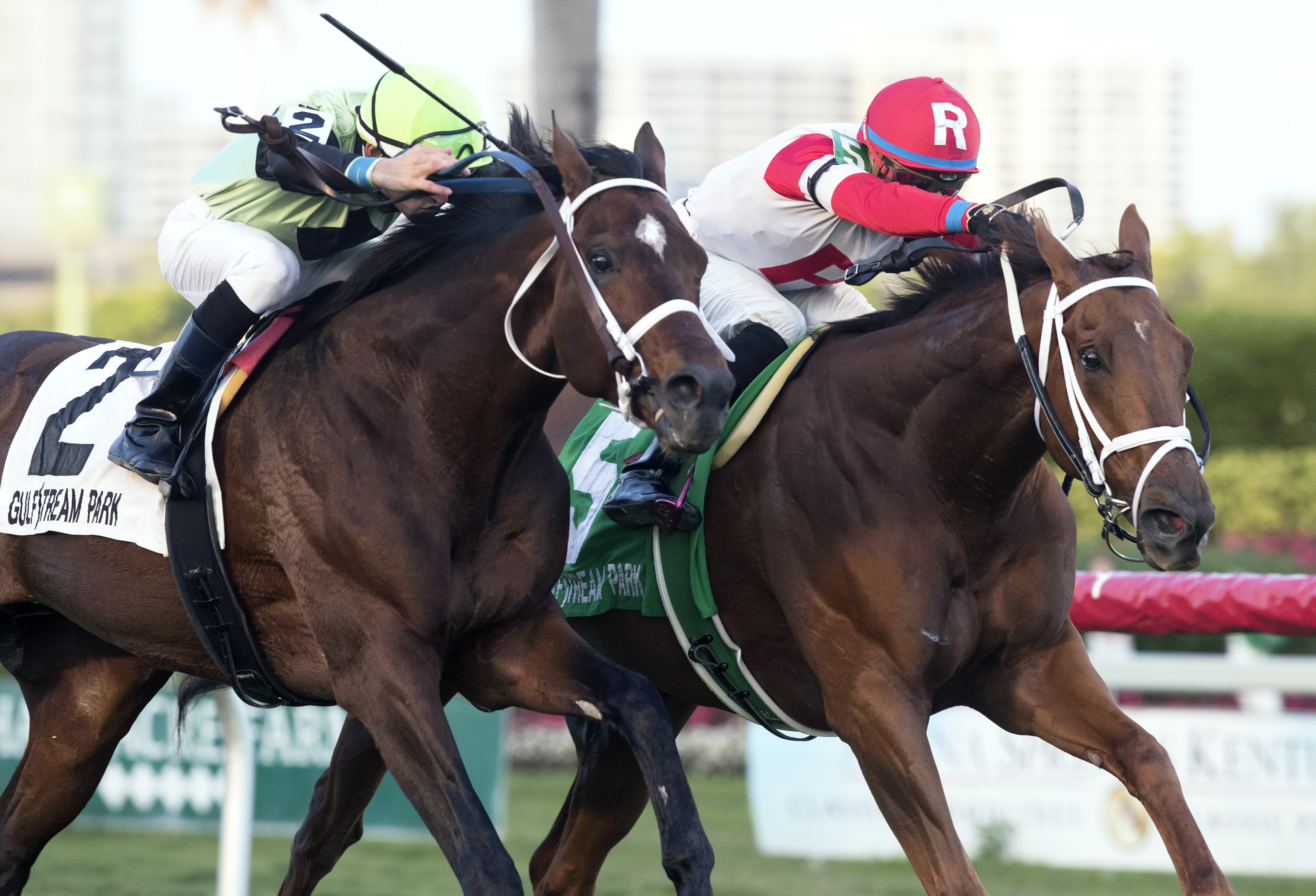 Shining Copper - inside - wins the 2018 Fort Lauderdale Stakes