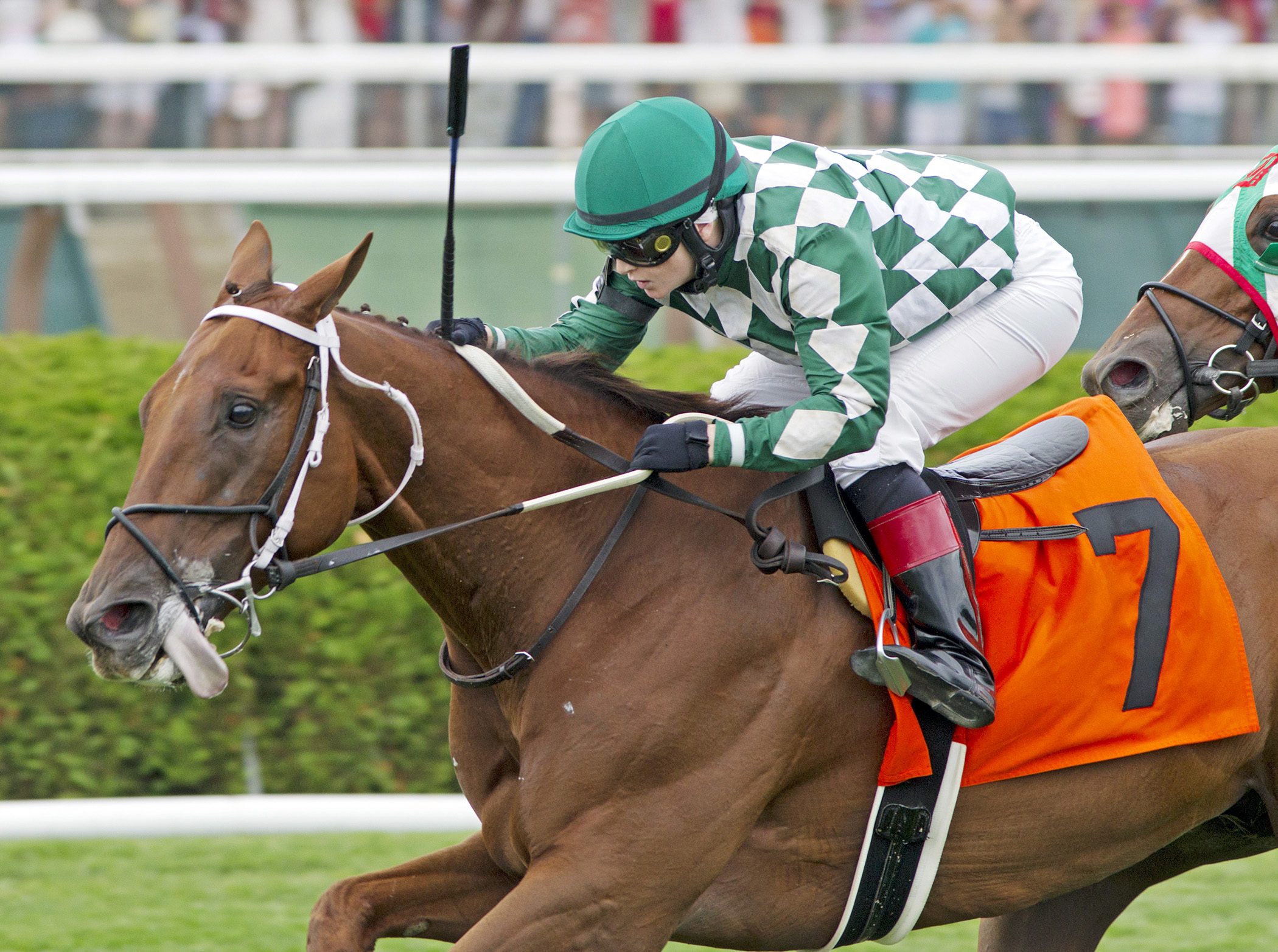 Shining Copper wins an allowance race