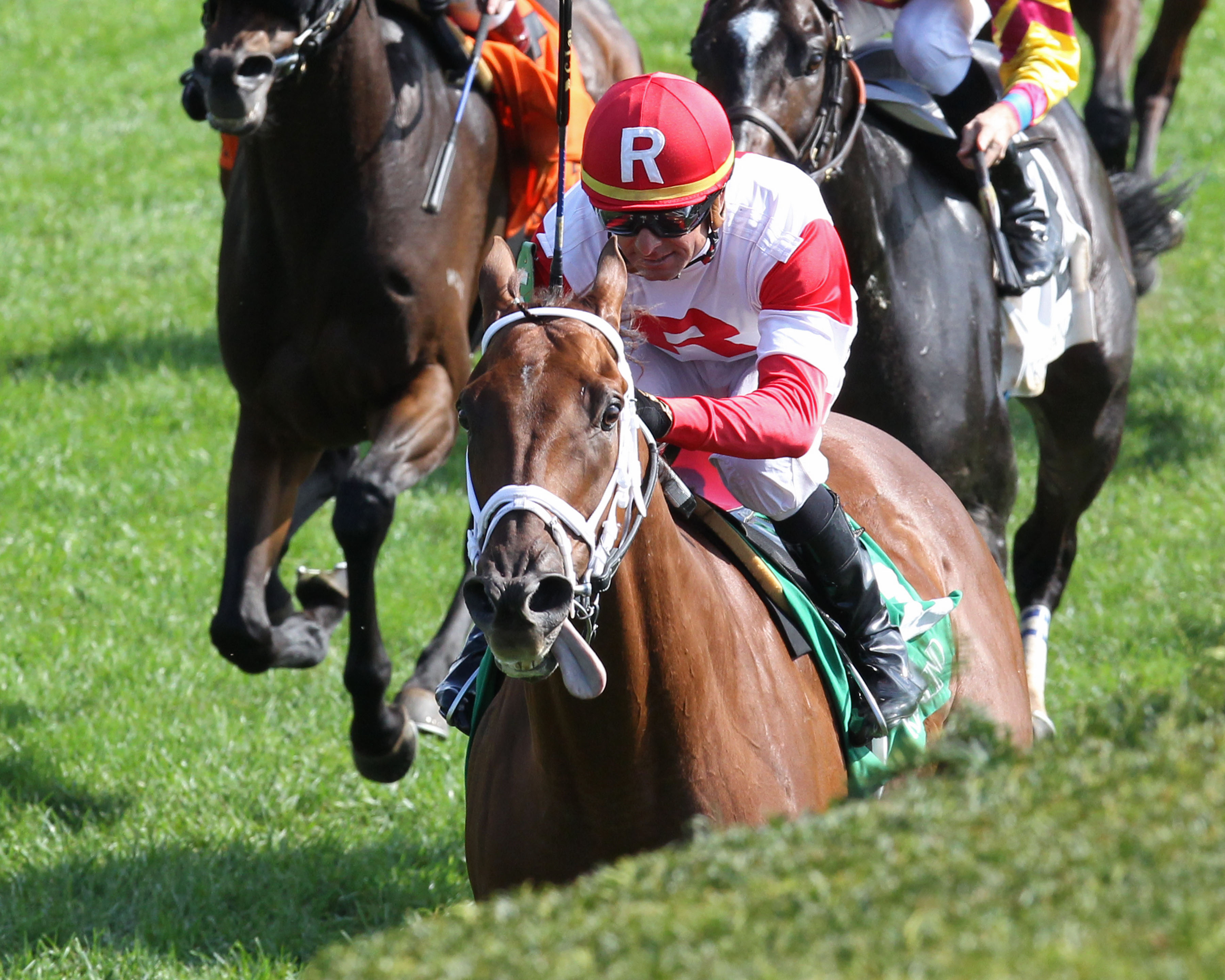 Shining Copper wins an Oct. 15 allowance race