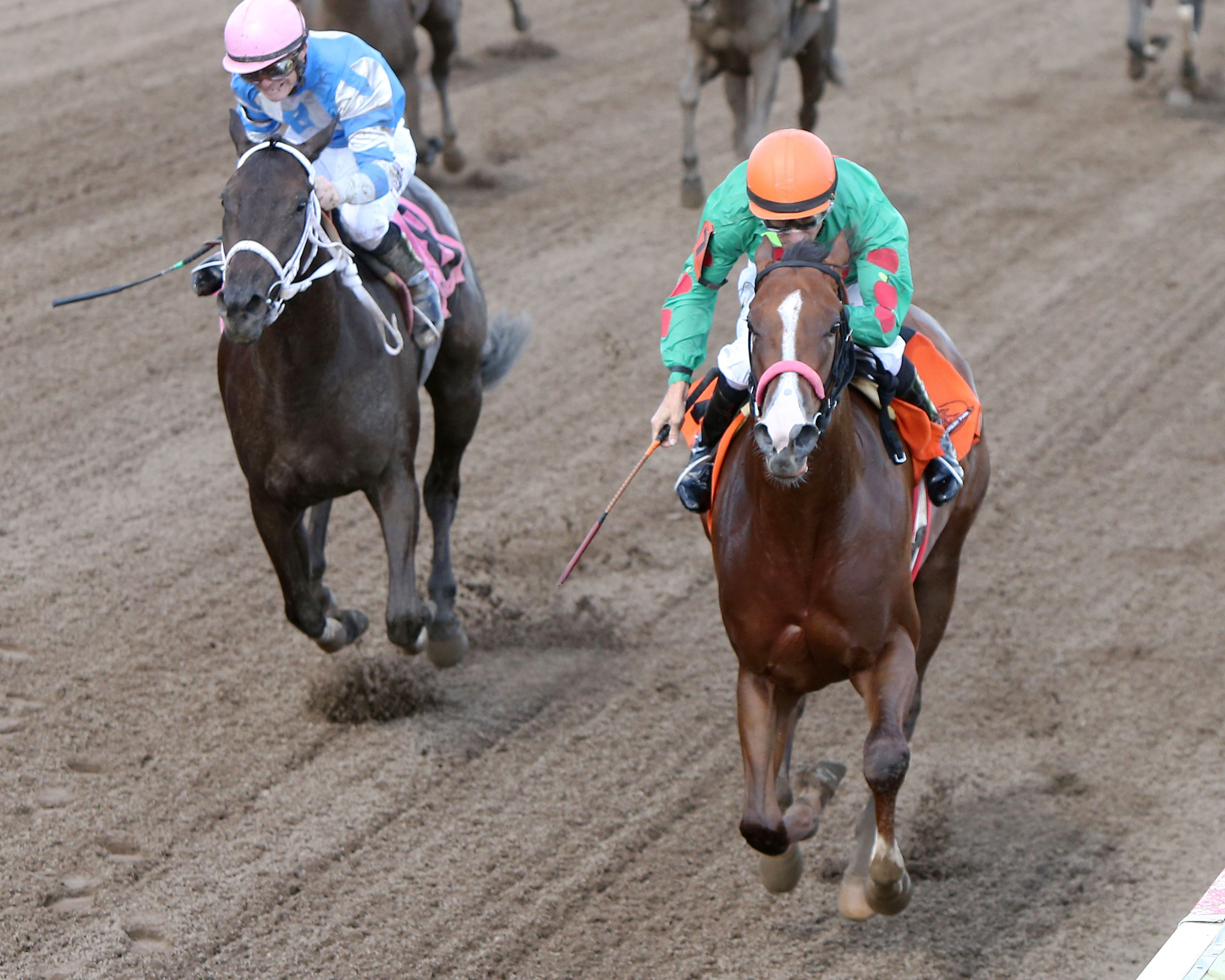 Shipmate wins the Northern Lights Debutante Stakes