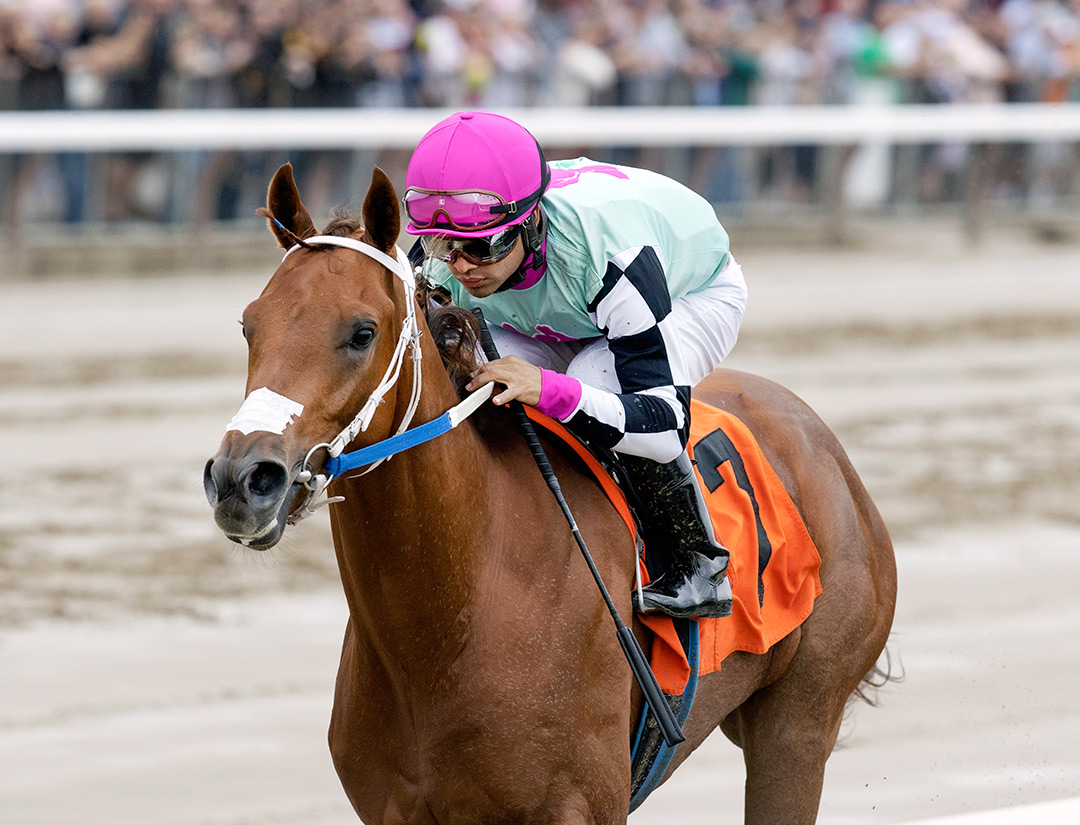 Shipsational wins a July 18 maiden race at Saratoga Race Course