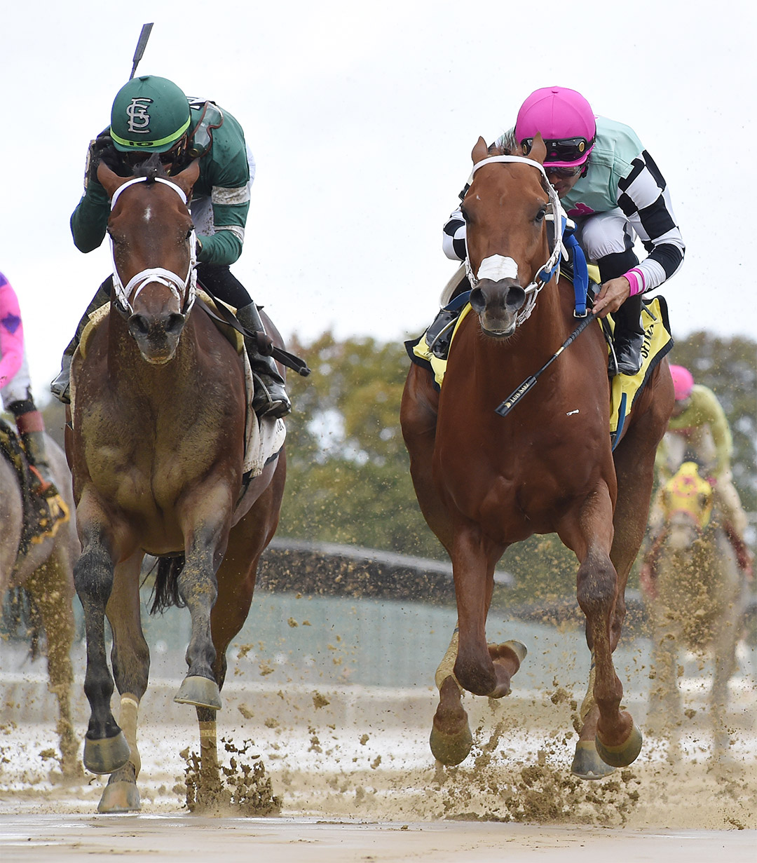 Shipsational (right) wins the Sleepy Hollow Stakes at Belmont Park