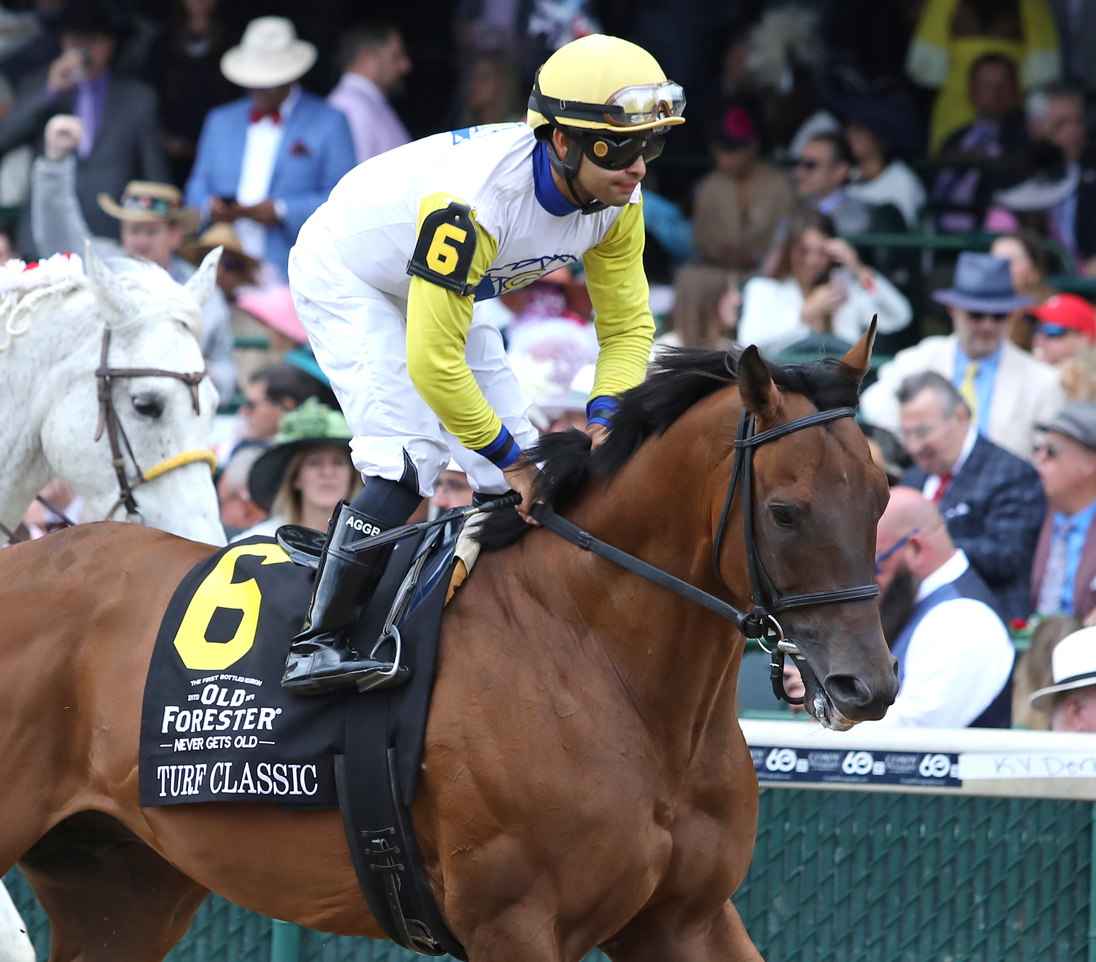 Shirl's Speight prior to the Turf Classic at Churchill on May 7 2022