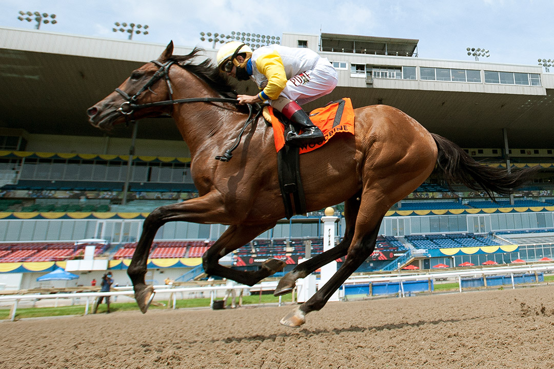 Shirl's Speight wins the 2020 Marine Stakes at Woodbine Racetrack