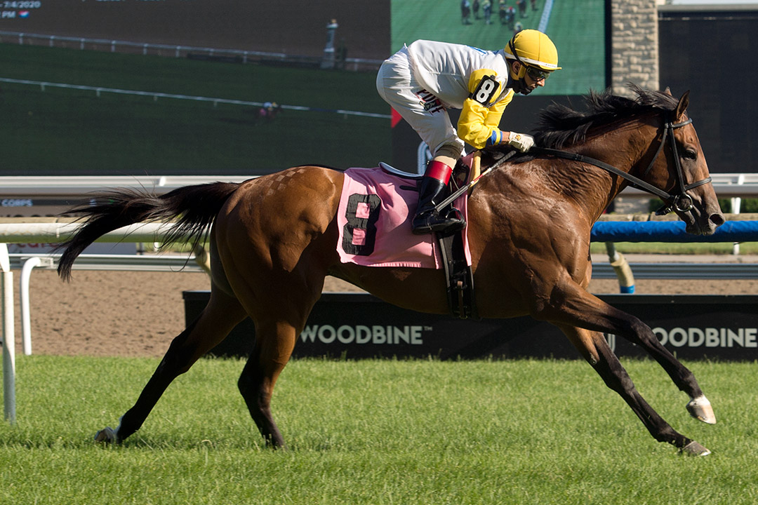 Shirl's Speight wins a July 4 maiden race at Woodbine