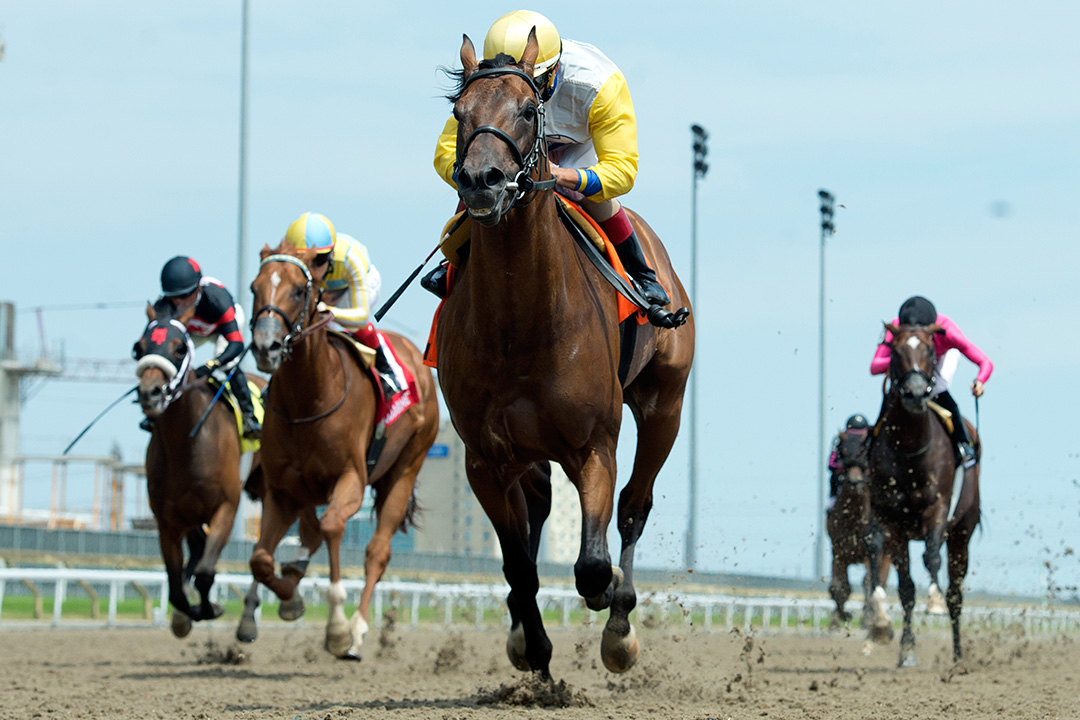 Shirl's Speight wins the 2020 Marine Stakes at Woodbine Racetrack