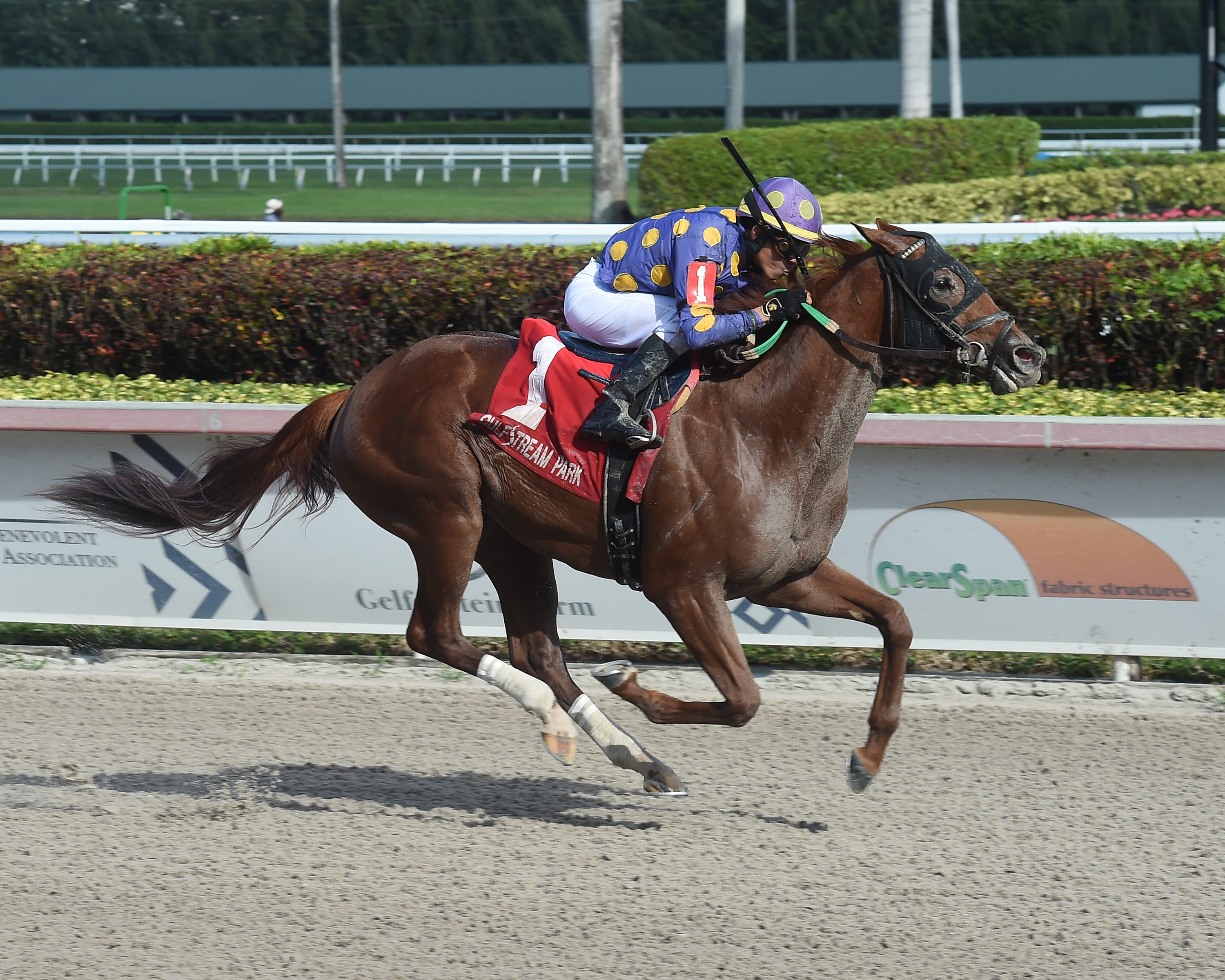 Shivaree wins the 2020 Limehouse Stakes