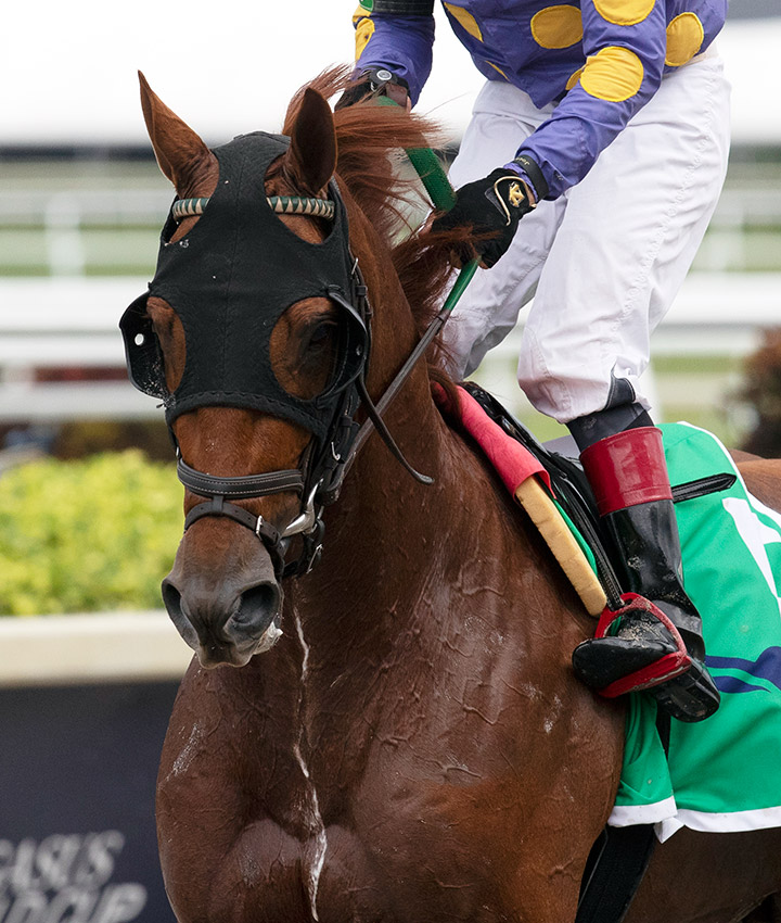 Shivaree at Gulfstream Park in February 2020
