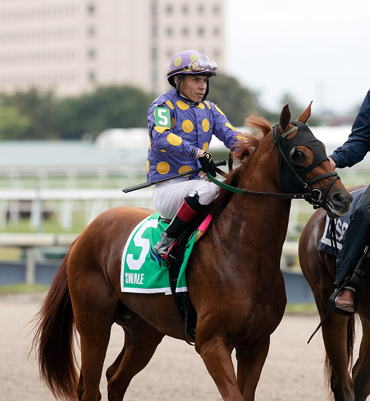 Shivaree at Gulfstream Park in February 2020