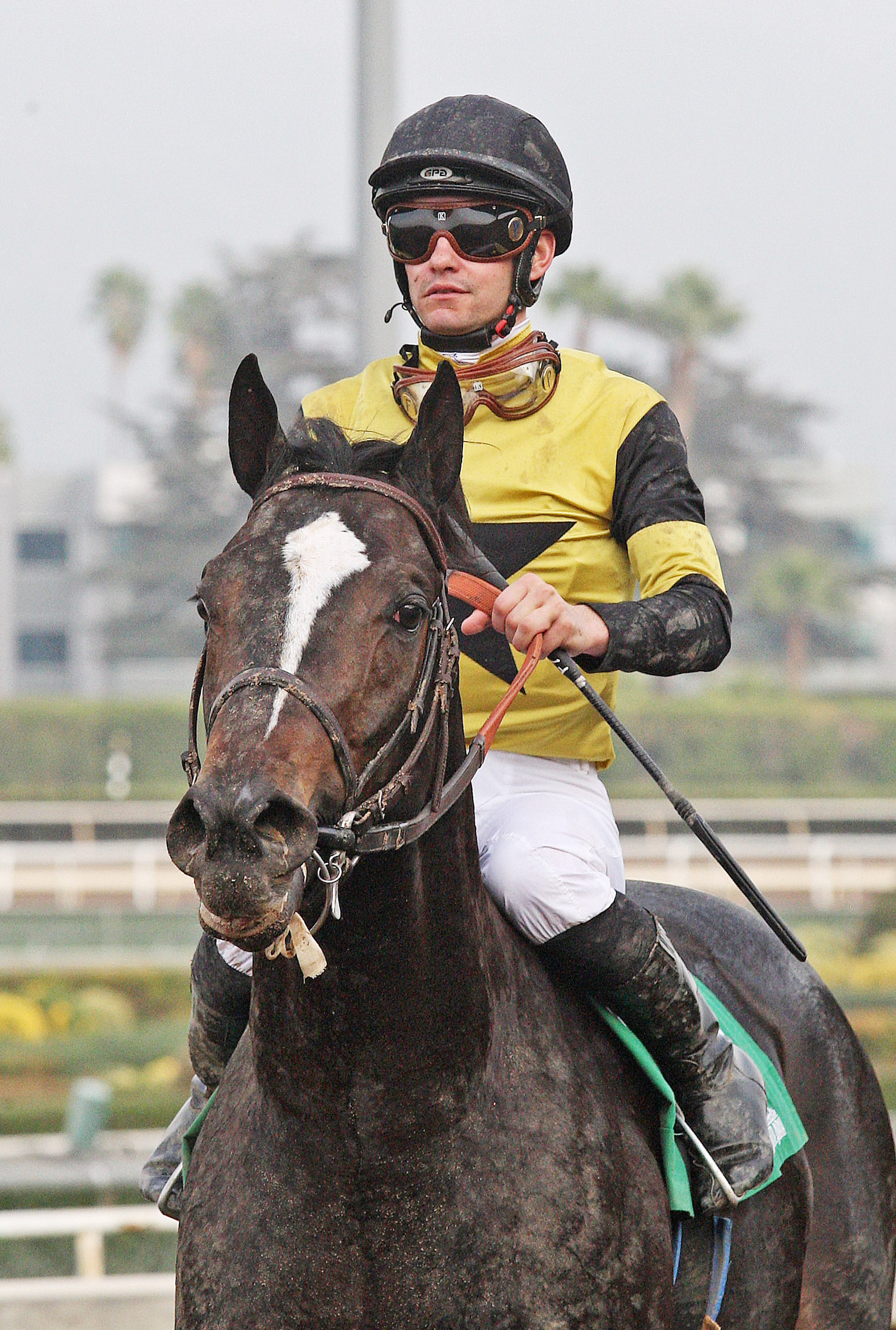 Shivermetimbers at the Sham Stakes