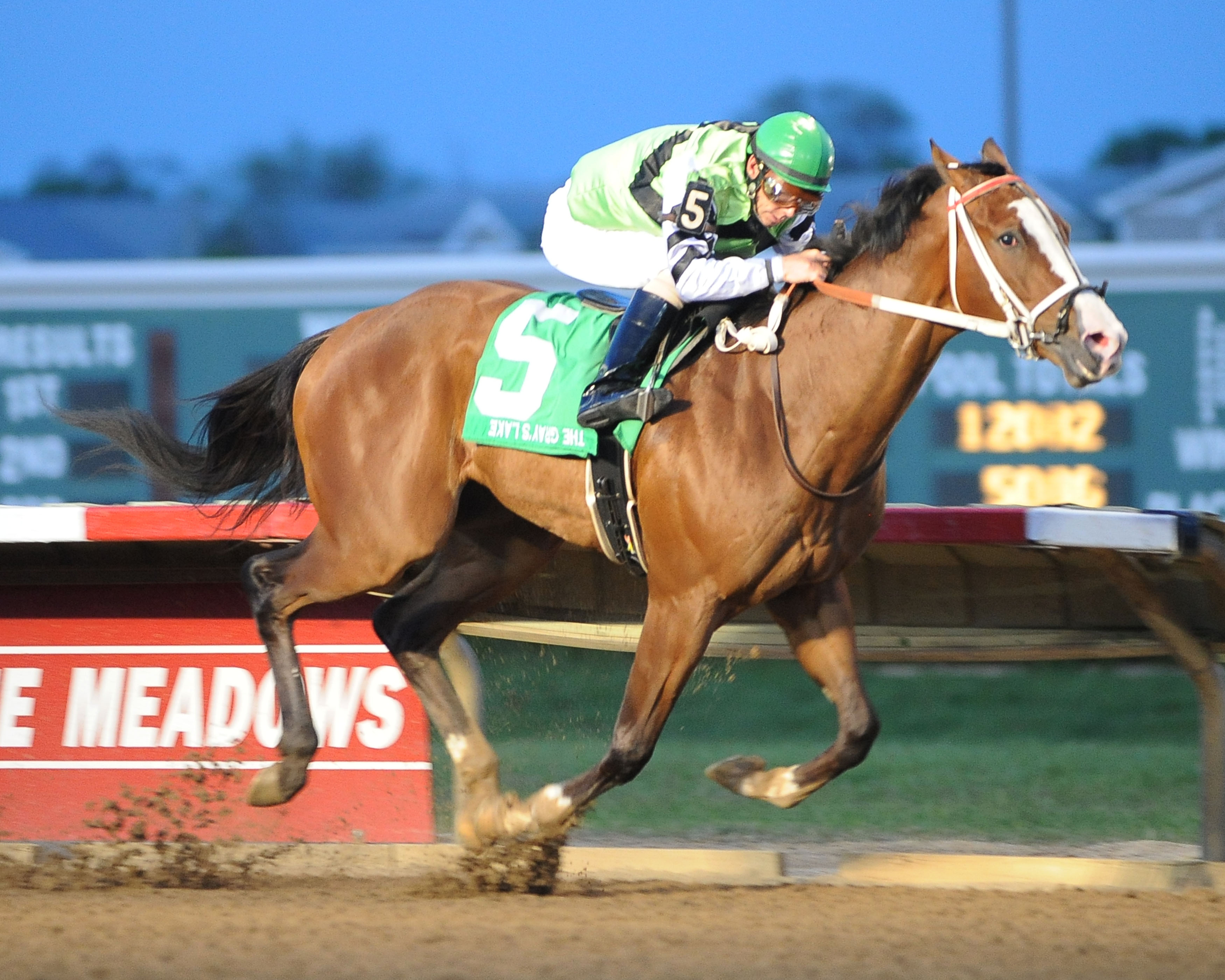 Shock Hazard wins 2014 Gray's Lake