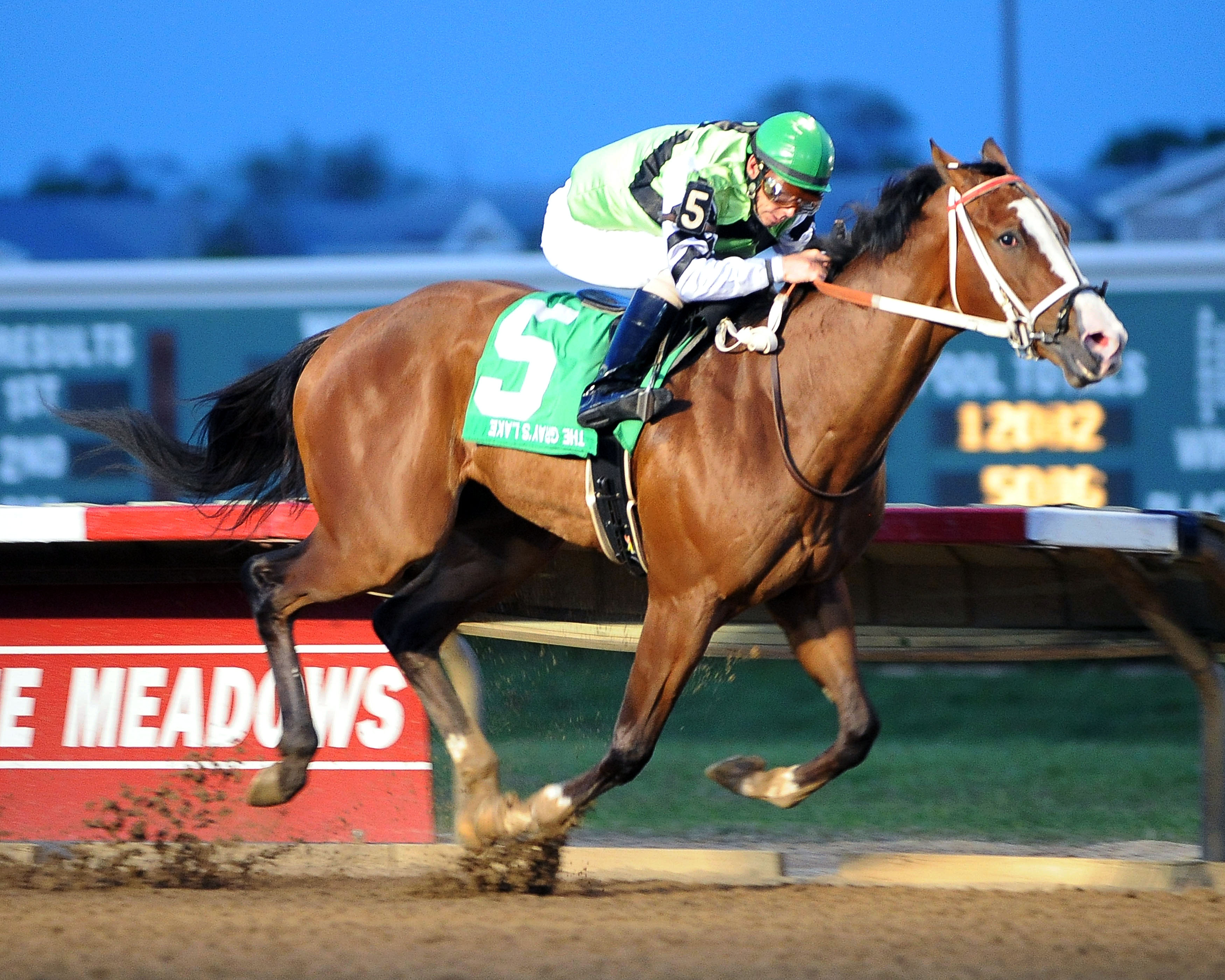 Shock Hazard wins the Gray's Lake Stakes