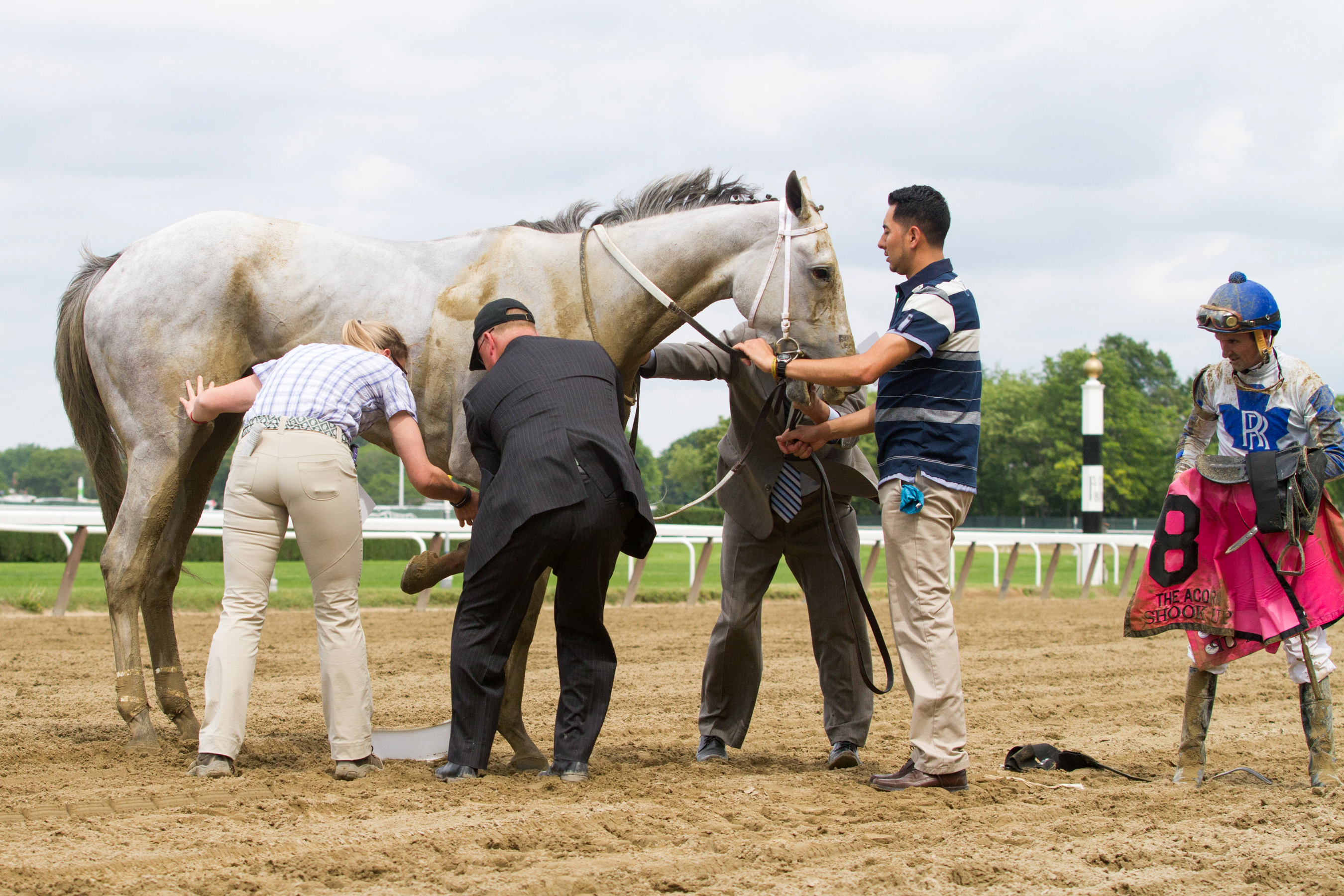 Shook Up is tended to after the Acorn Stakes