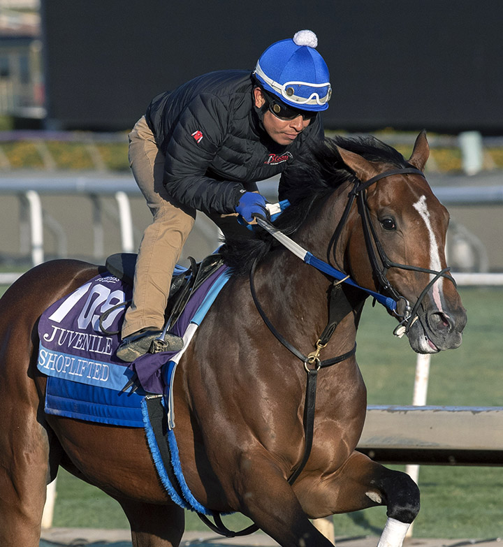 Shoplifted trains at Santa Anita Park on Oct. 30