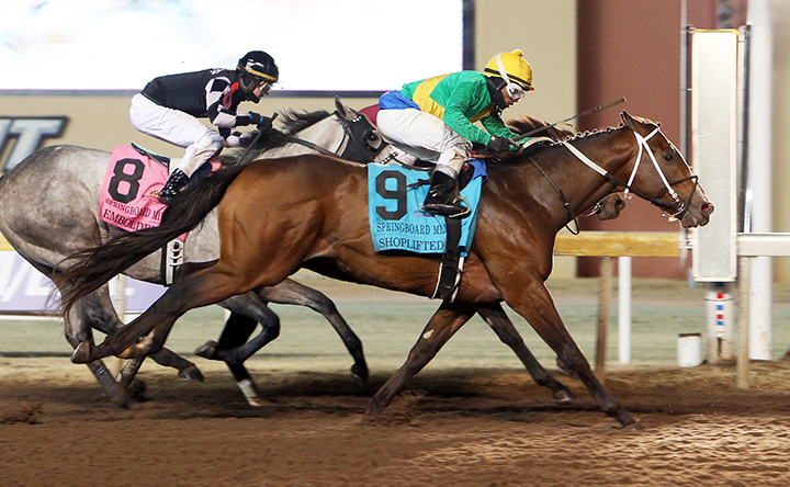 Shoplifted wins the 2019 Springboard Mile at Remington Park