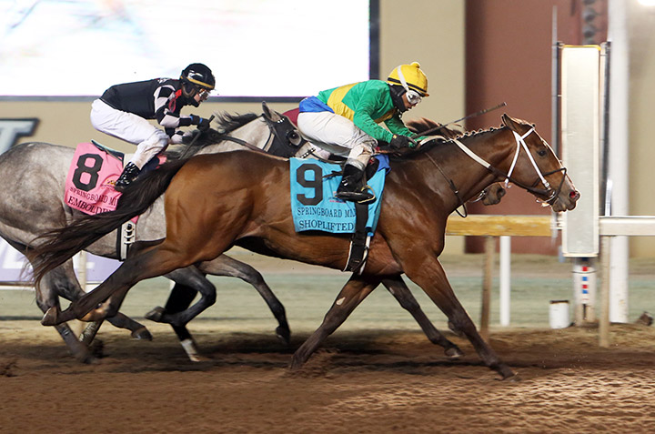 Shoplifted wins the 2019 Springboard Mile at Remington Park