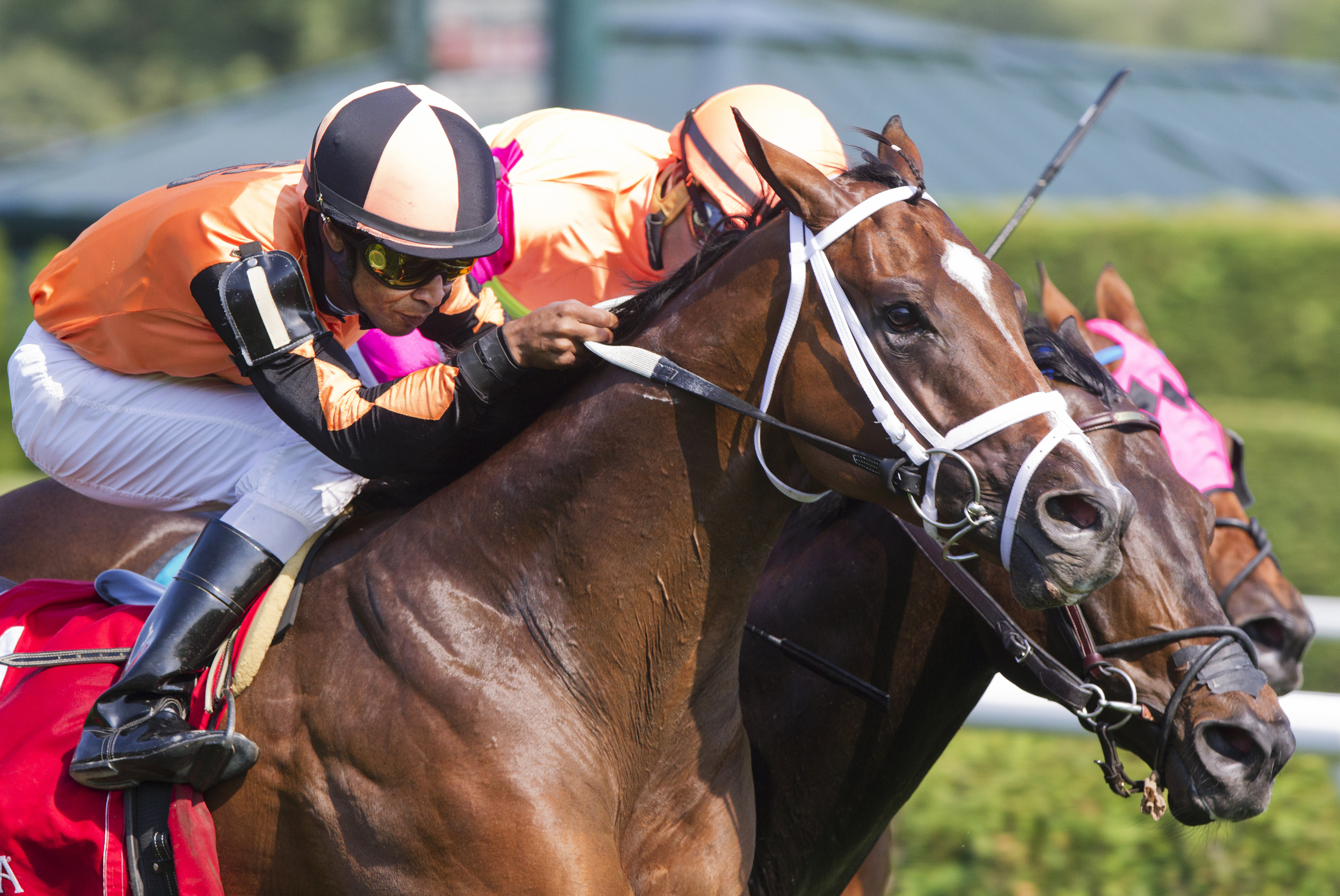 Shore Runner wins the Lucky Coin