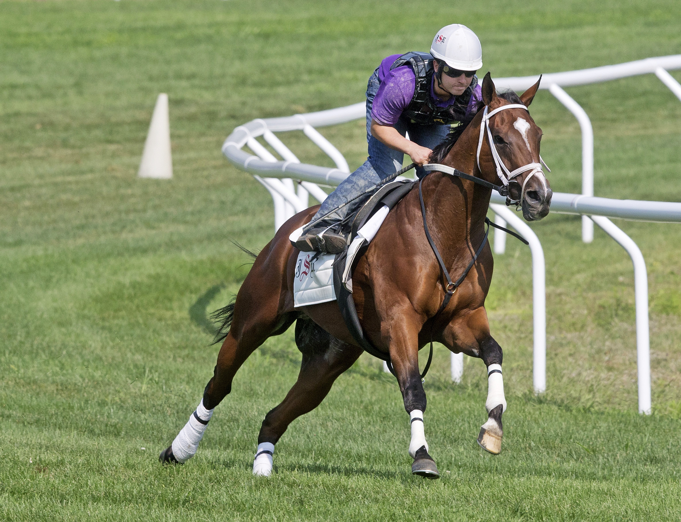 Shore Runner trains at Saratoga on Aug. 20
