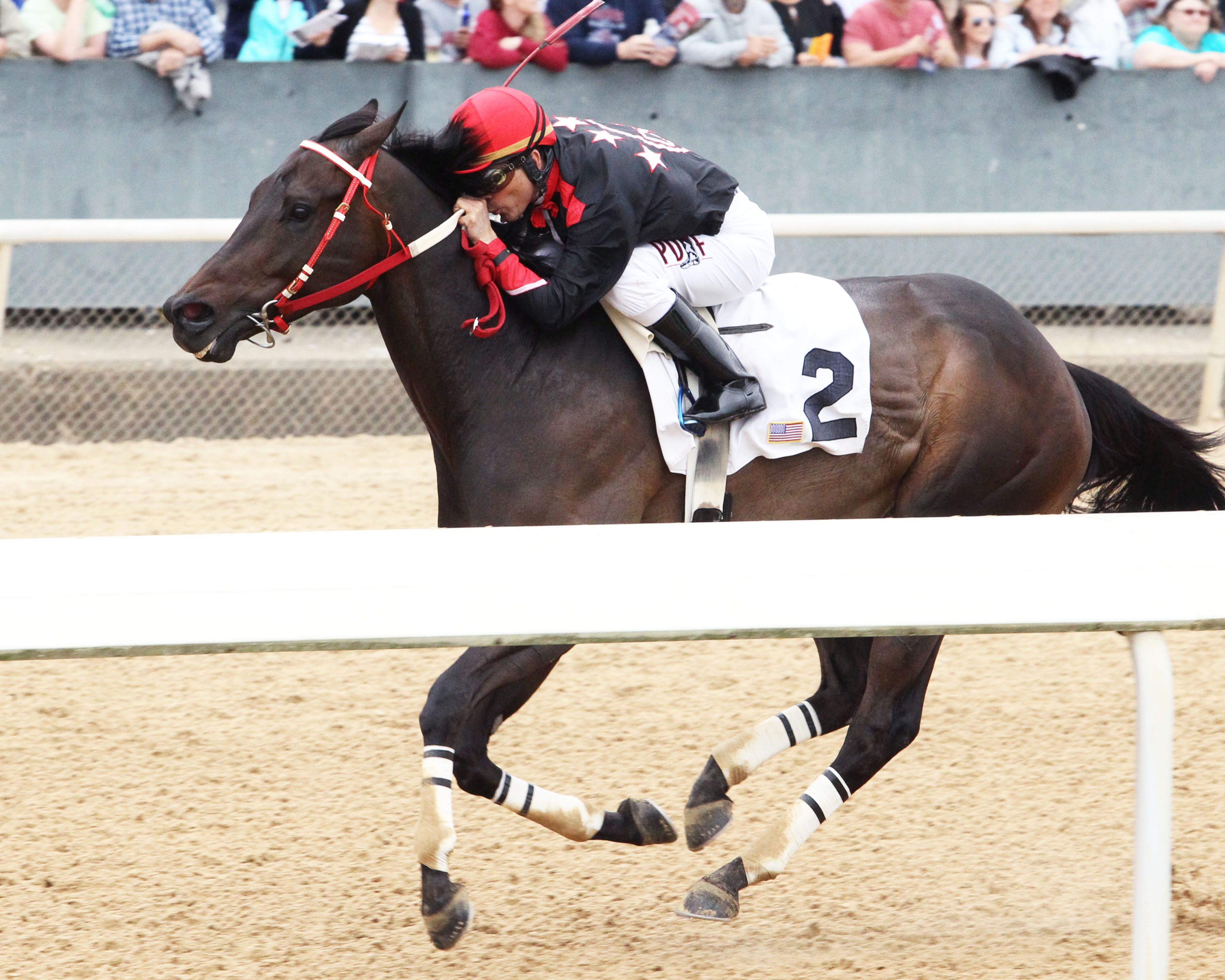 Shotgun Kowboy wins a March 23 allowance