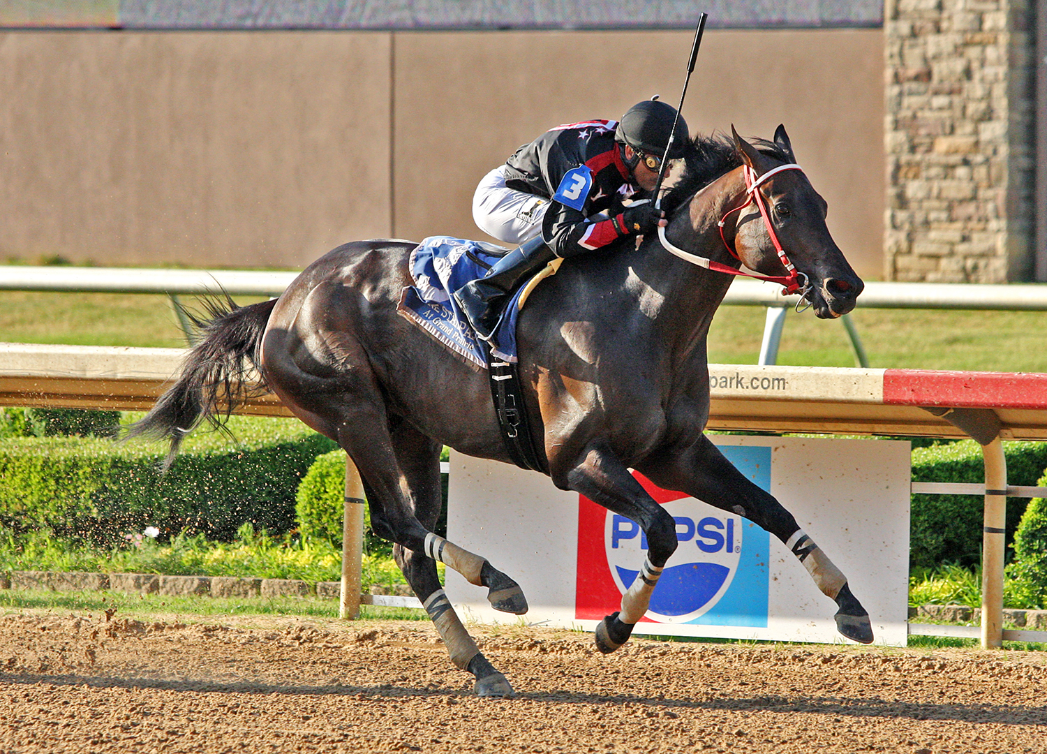 Shotgun Kowboy wins the 2018 Lone Star Park Handicap