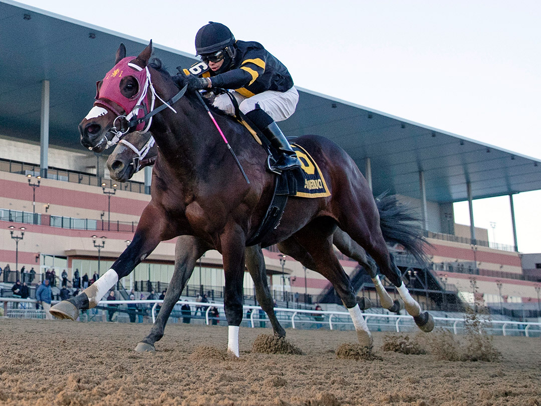 Shotski wins the 2019 Remsen Stakes at Aqueduct