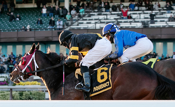 Shotski wins the 2019 Remsen Stakes at Aqueduct Racetrack