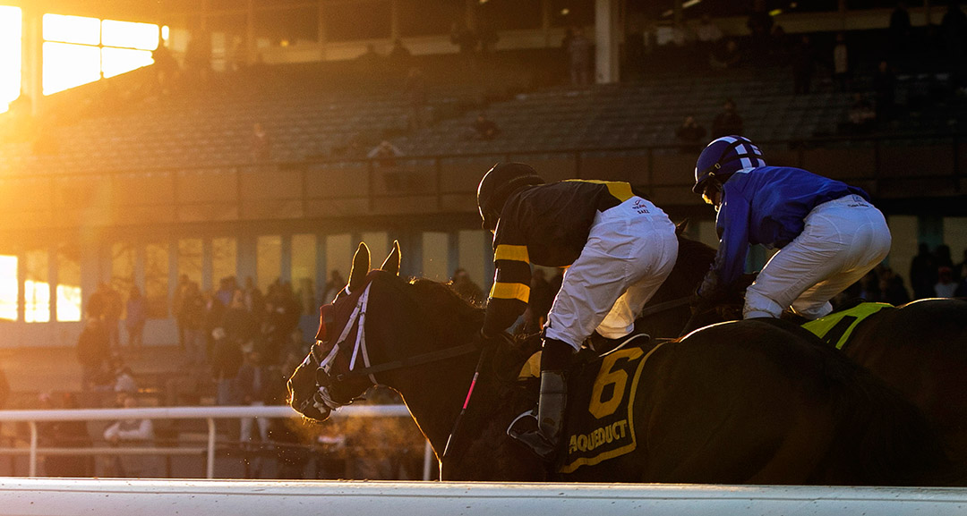 Racing at Aqueduct Racetrack