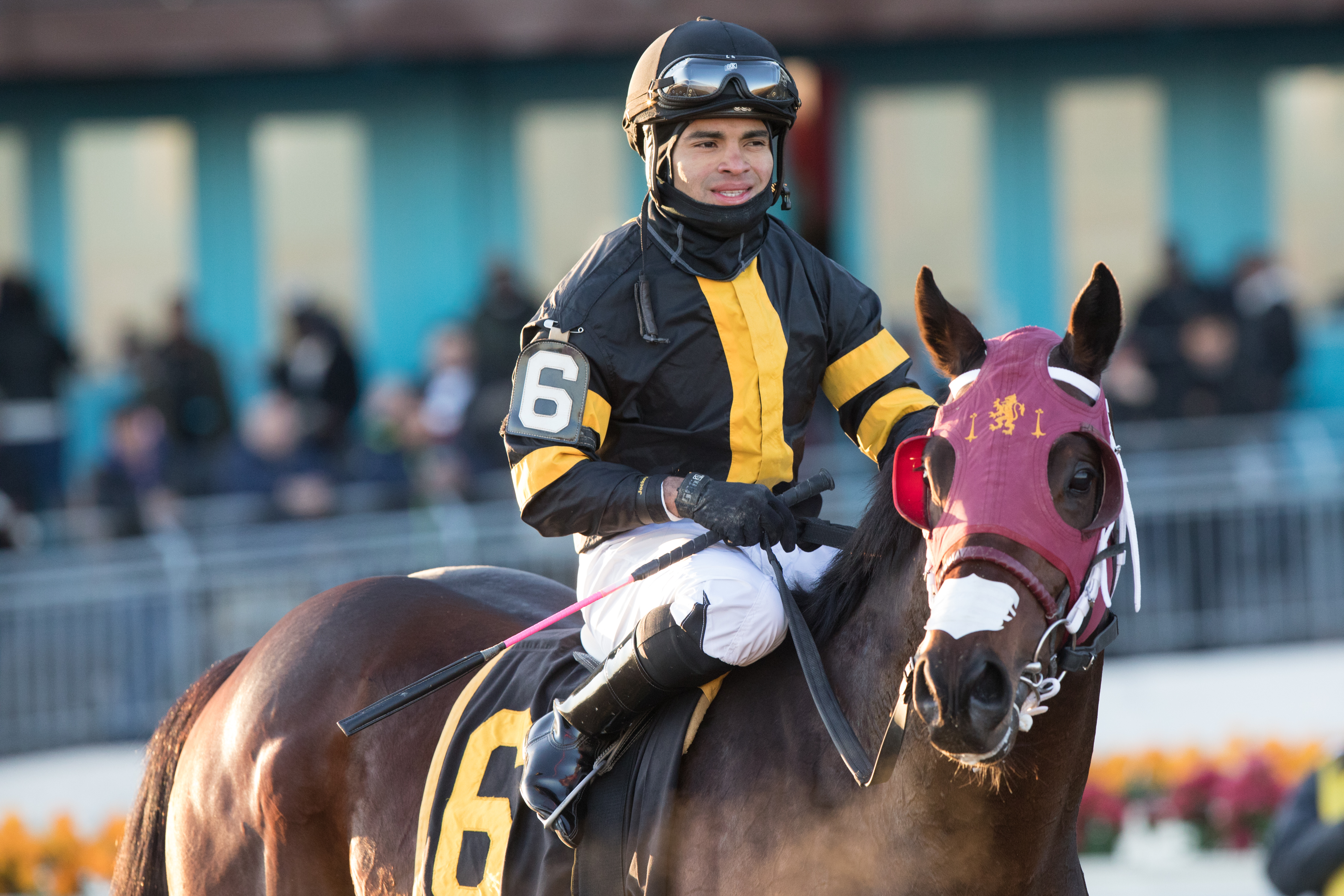 Shotski after victory in the 2019 Remsen Stakes