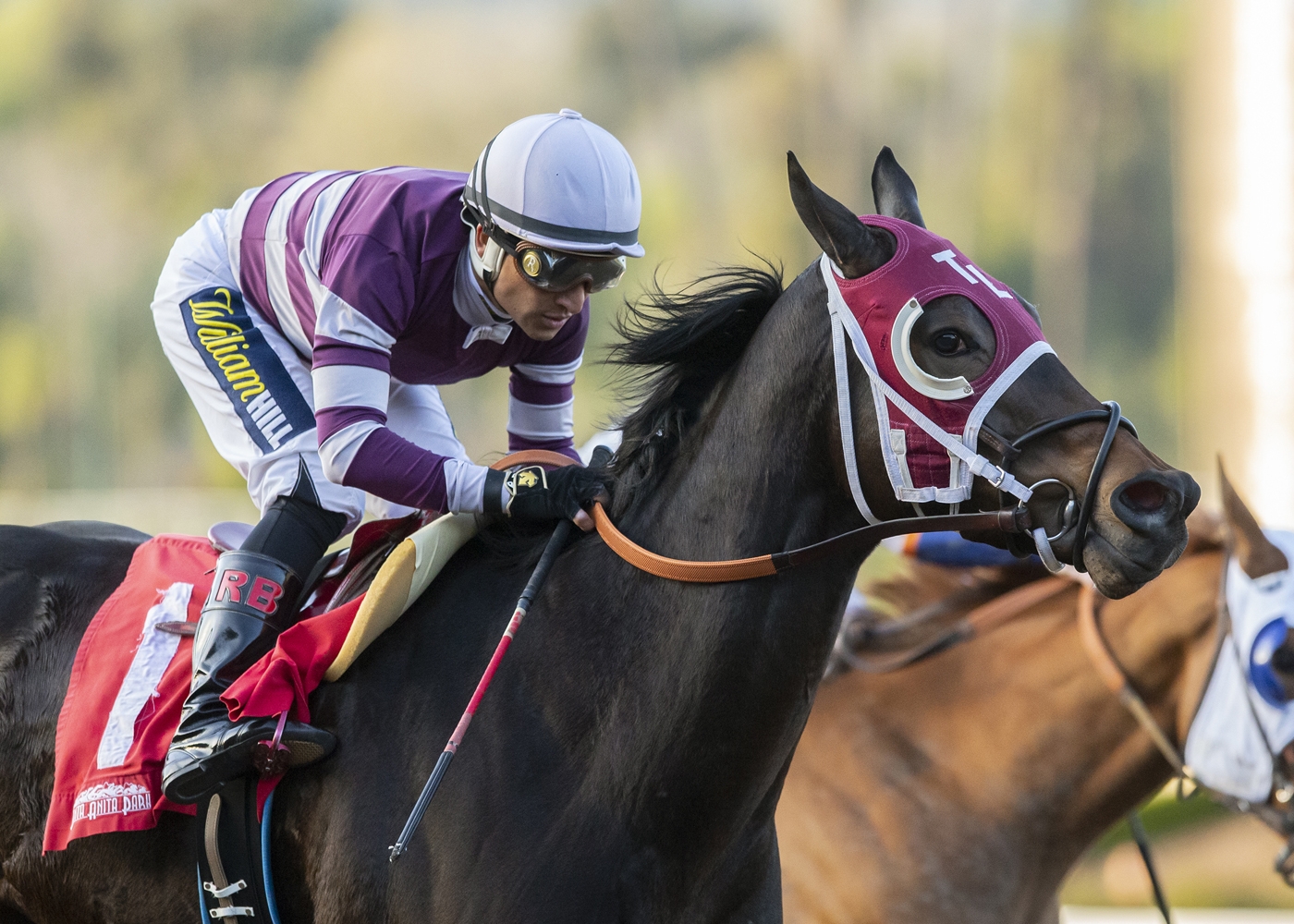 Show It N Moe It wins the 2019 Spring Fever Stakes