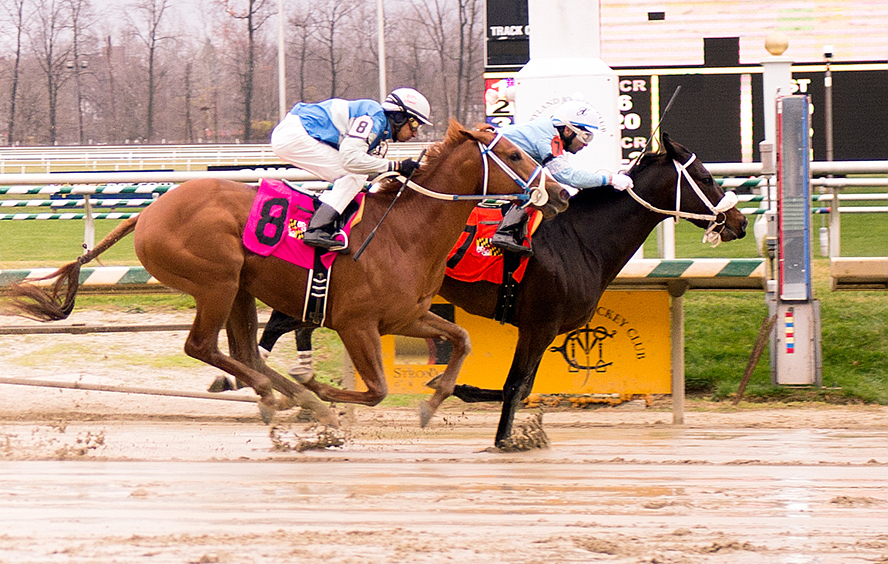 Showalter wins a maiden race