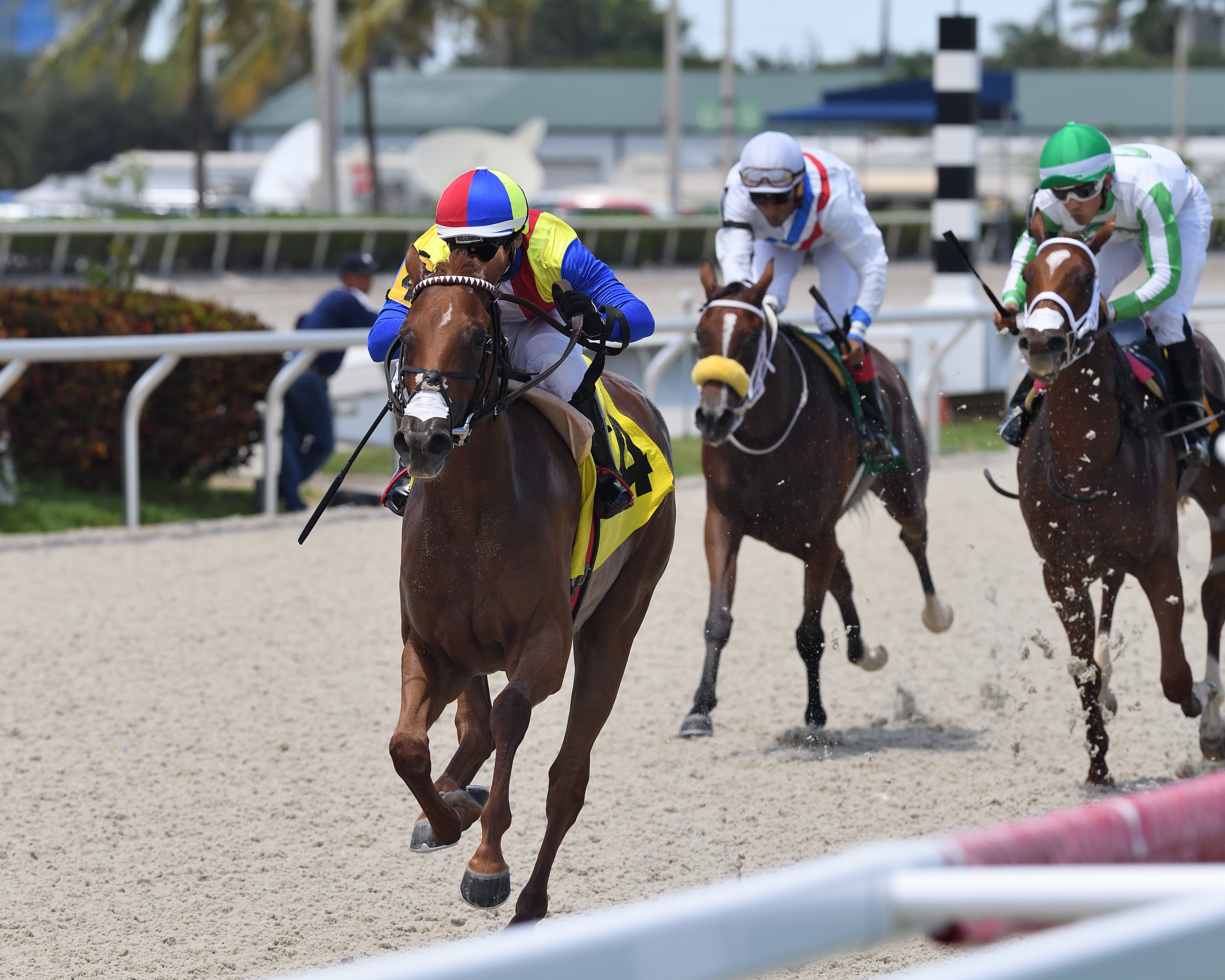 Showgirl Lynne B wins the Sharp Susan Aug 20 2022