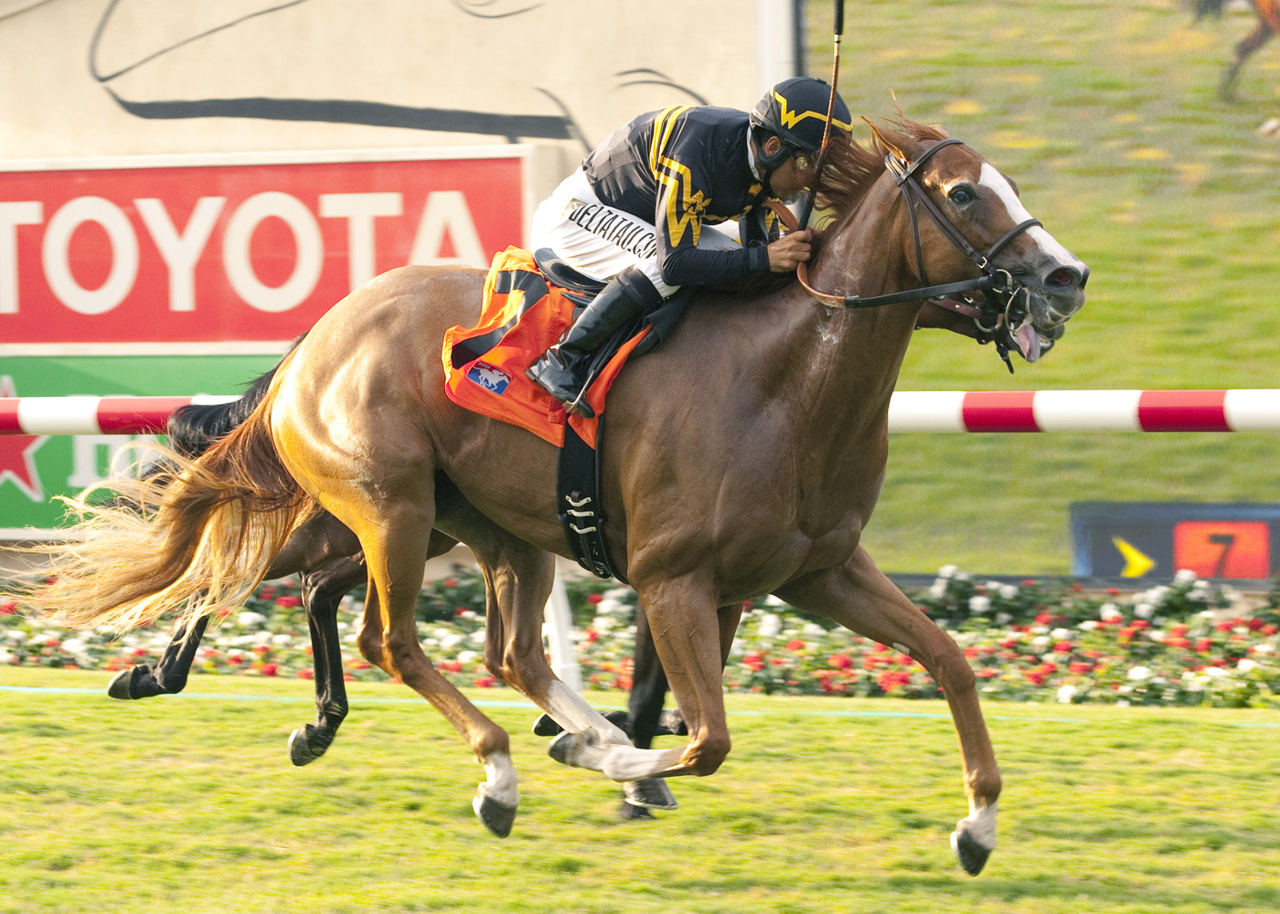 Shrinking Violet wins an optional claimer