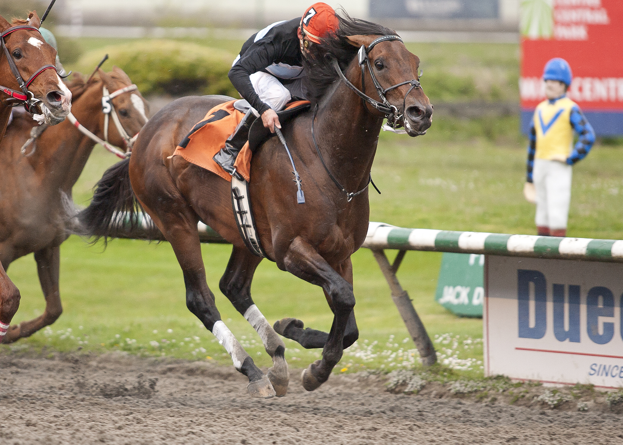 Shrug, George Royal Stakes