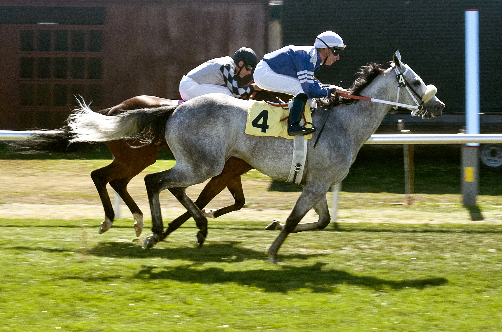 Shudacudawudya wins the 2012 Jess Jackson Owners' Handicap